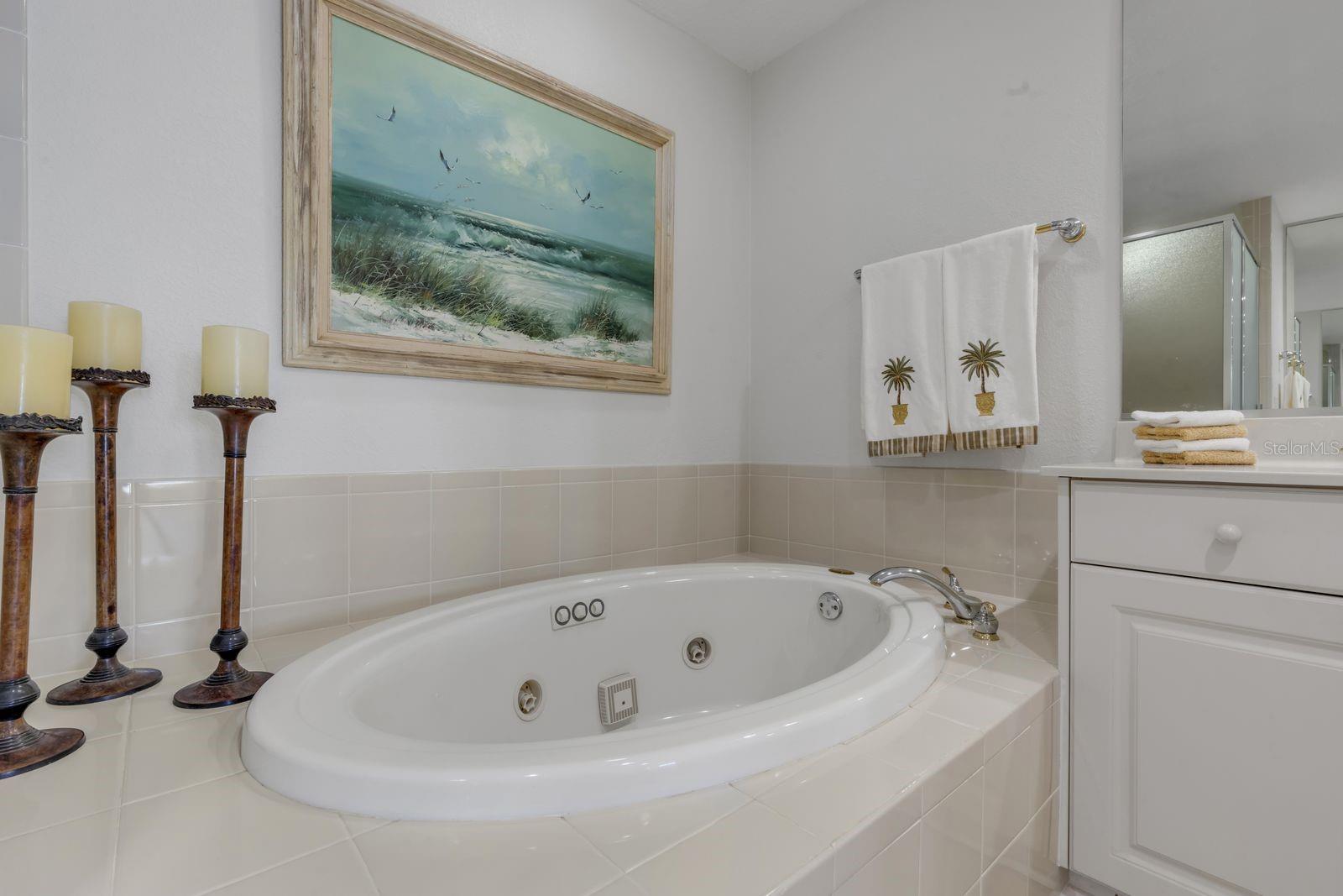 253 MINORCA BEACH WAY #604, NEW SMYRNA BEACH, FL, 32169