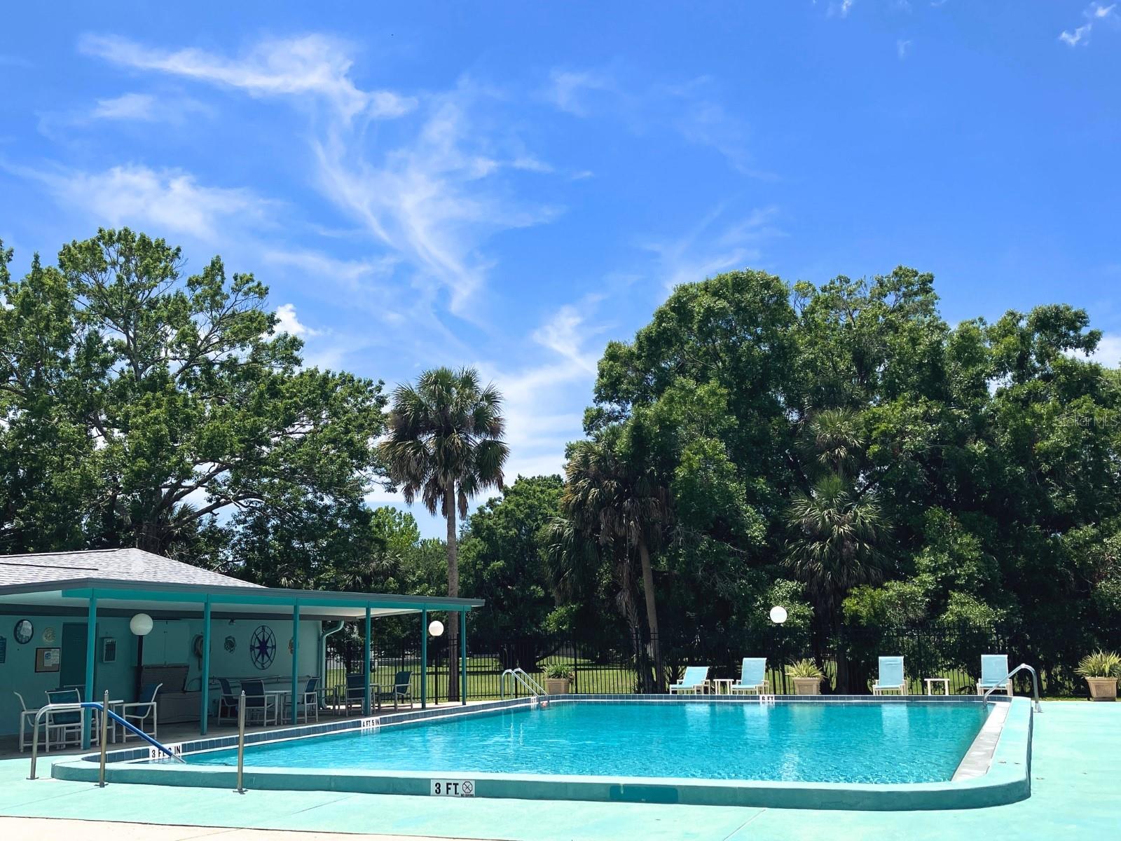 11878 W RIVERHAVEN DR, HOMOSASSA, FL, 34448