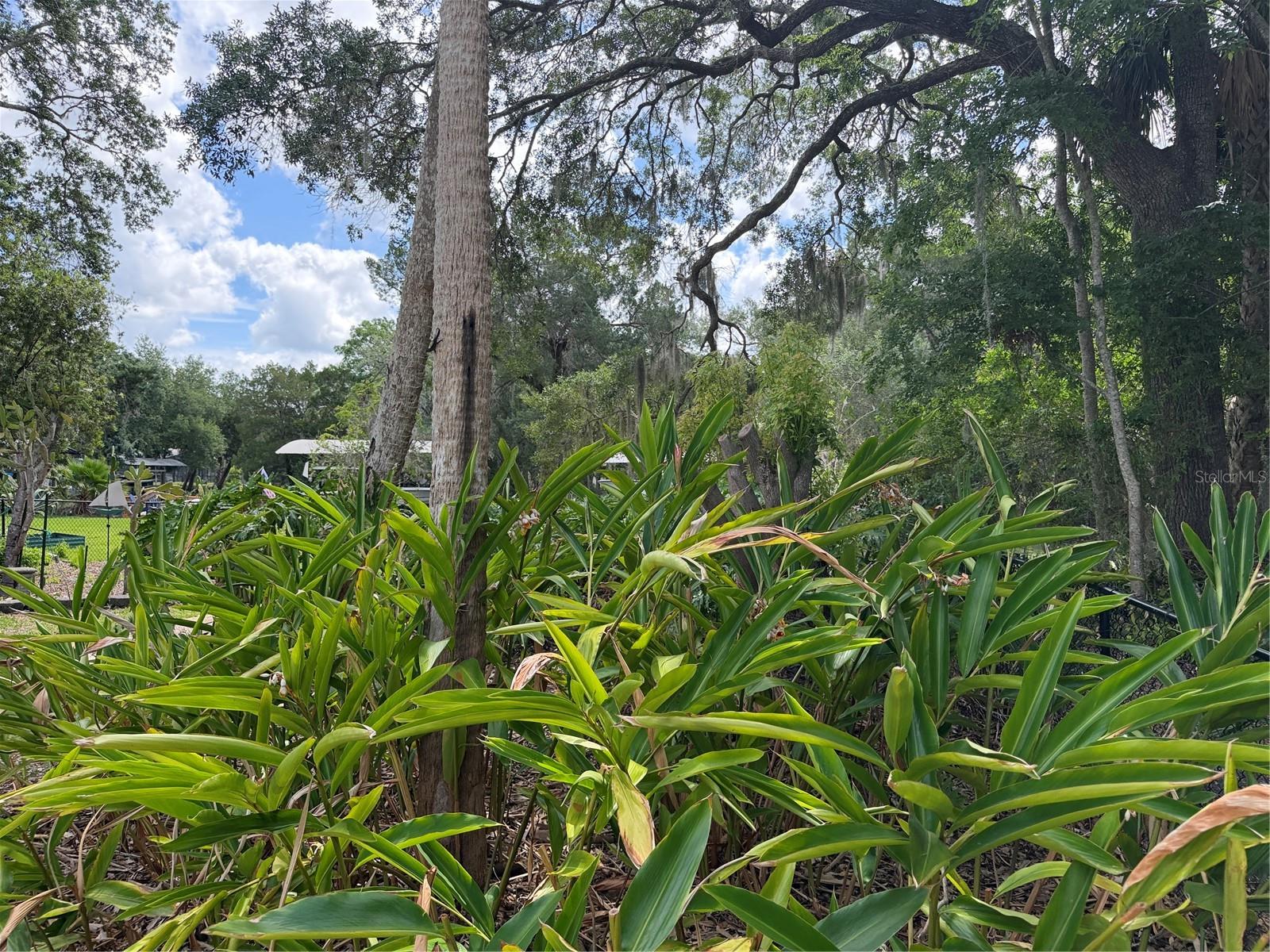 11878 W RIVERHAVEN DR, HOMOSASSA, FL, 34448
