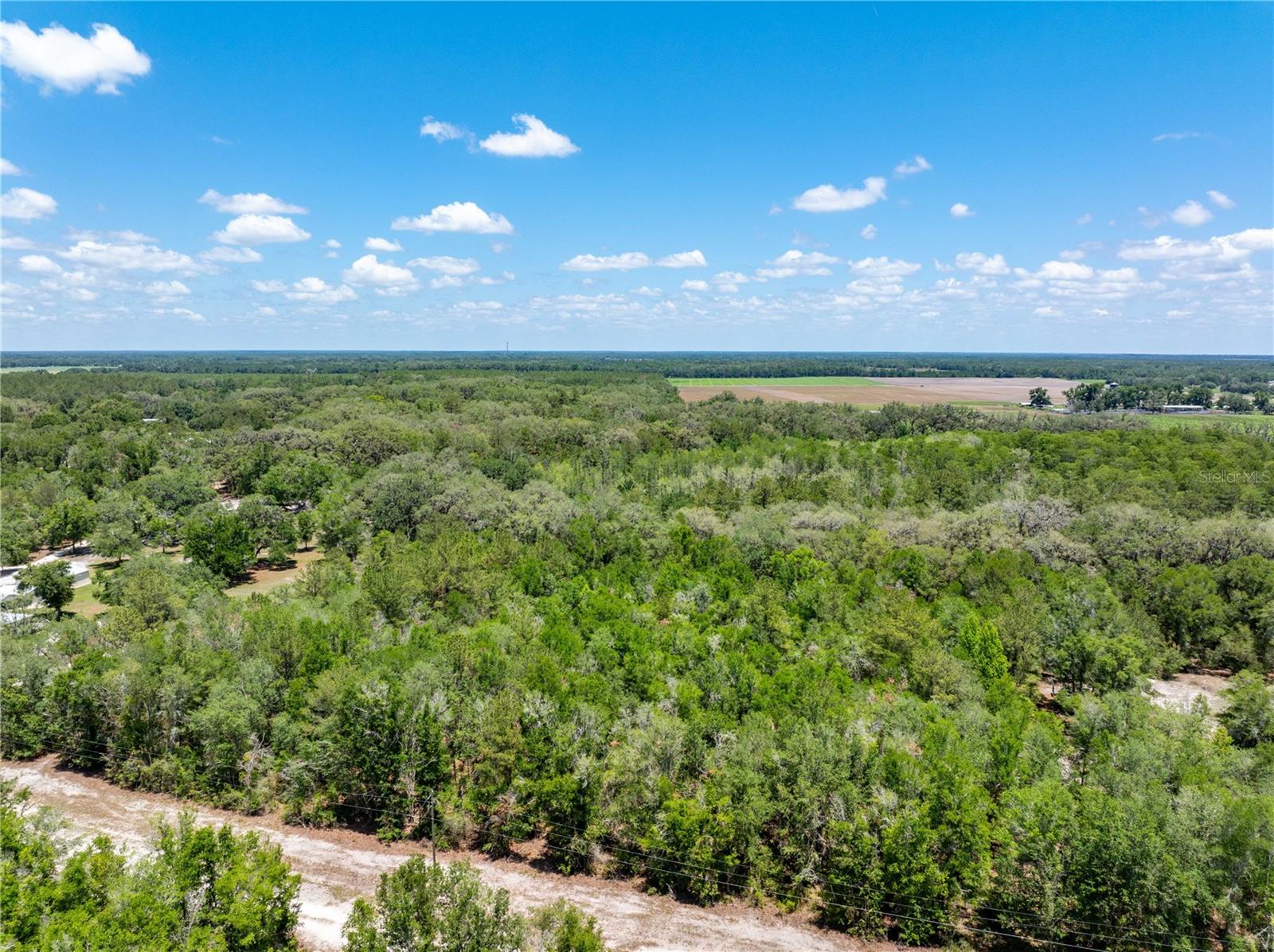 Lot 46 SW ROANOKE TER, FORT WHITE, FL, 32038