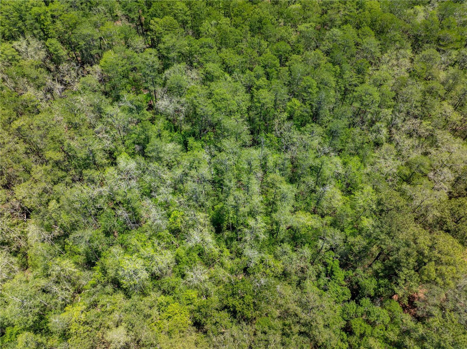 Lot 46 SW ROANOKE TER, FORT WHITE, FL, 32038