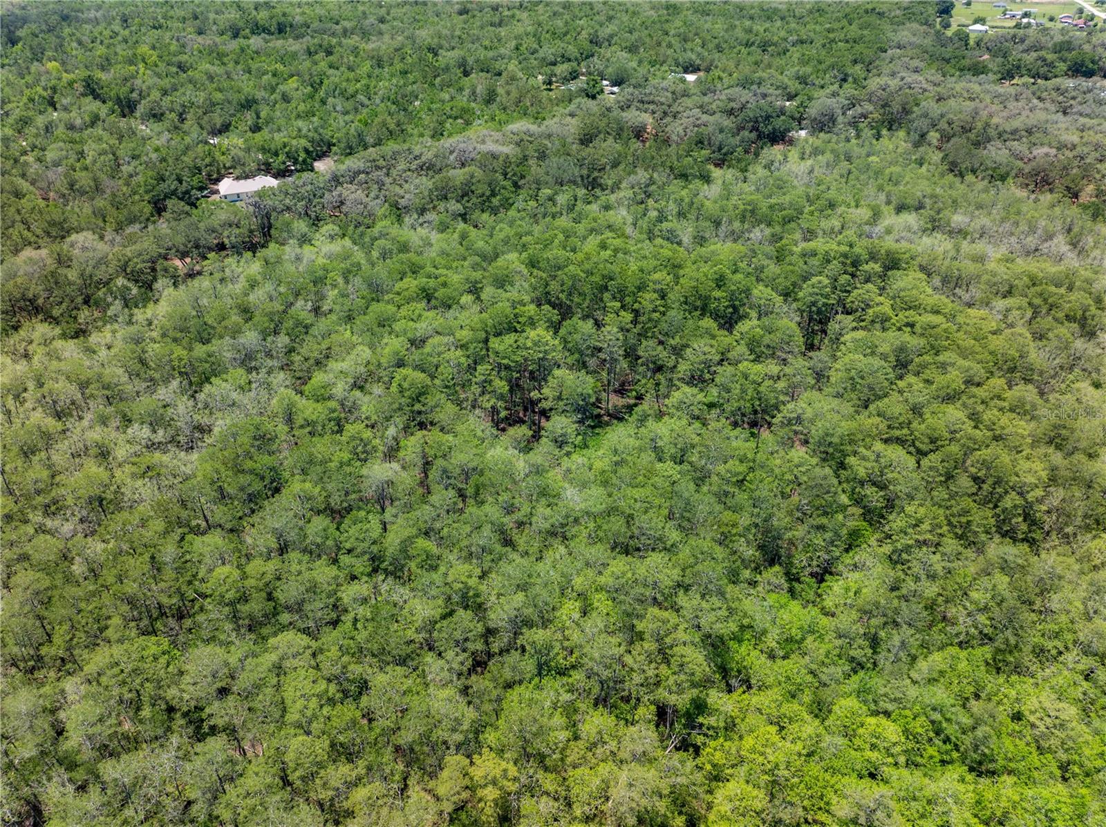 Lot 46 SW ROANOKE TER, FORT WHITE, FL, 32038