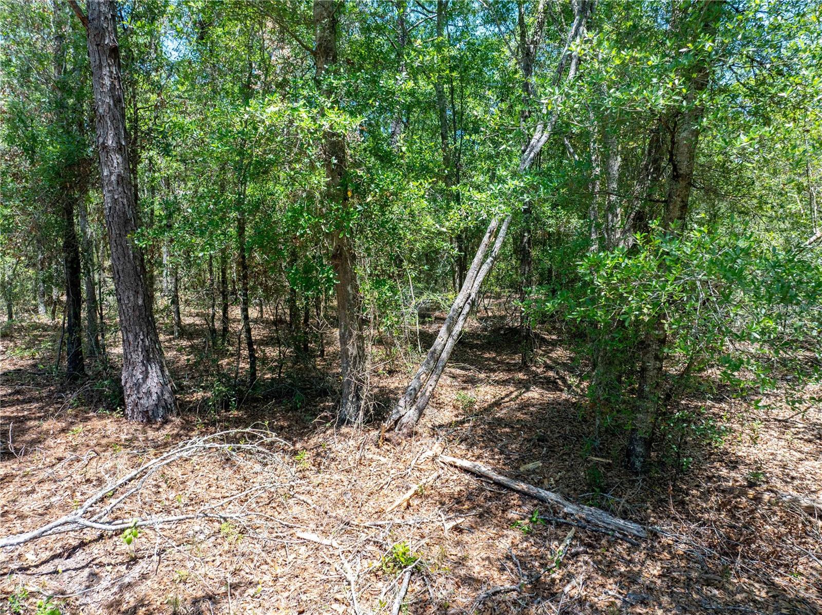 Lot 46 SW ROANOKE TER, FORT WHITE, FL, 32038