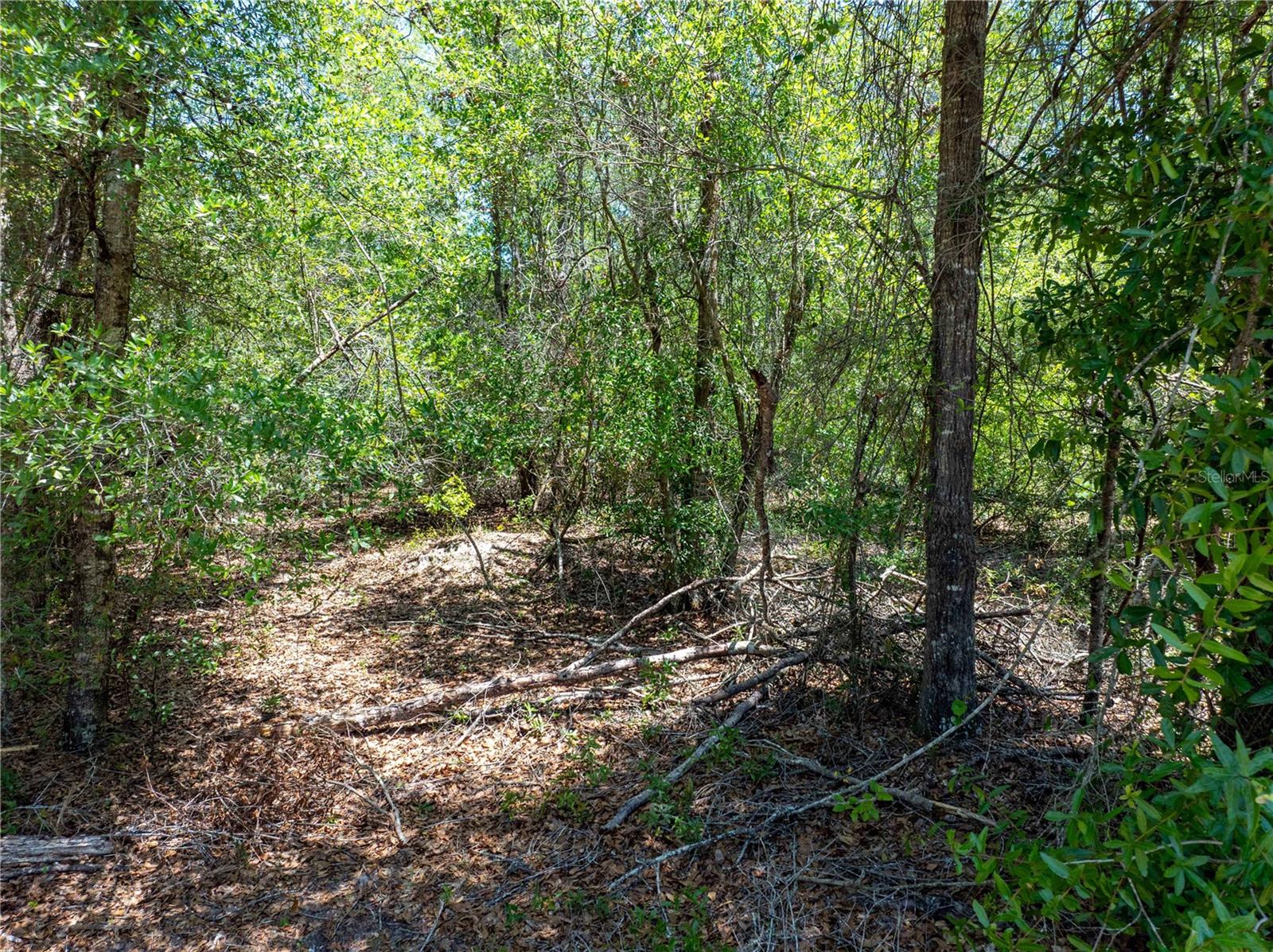 Lot 46 SW ROANOKE TER, FORT WHITE, FL, 32038