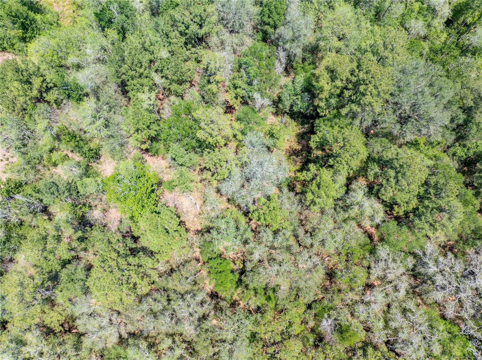 Lot 46 SW ROANOKE TER, FORT WHITE, FL, 32038