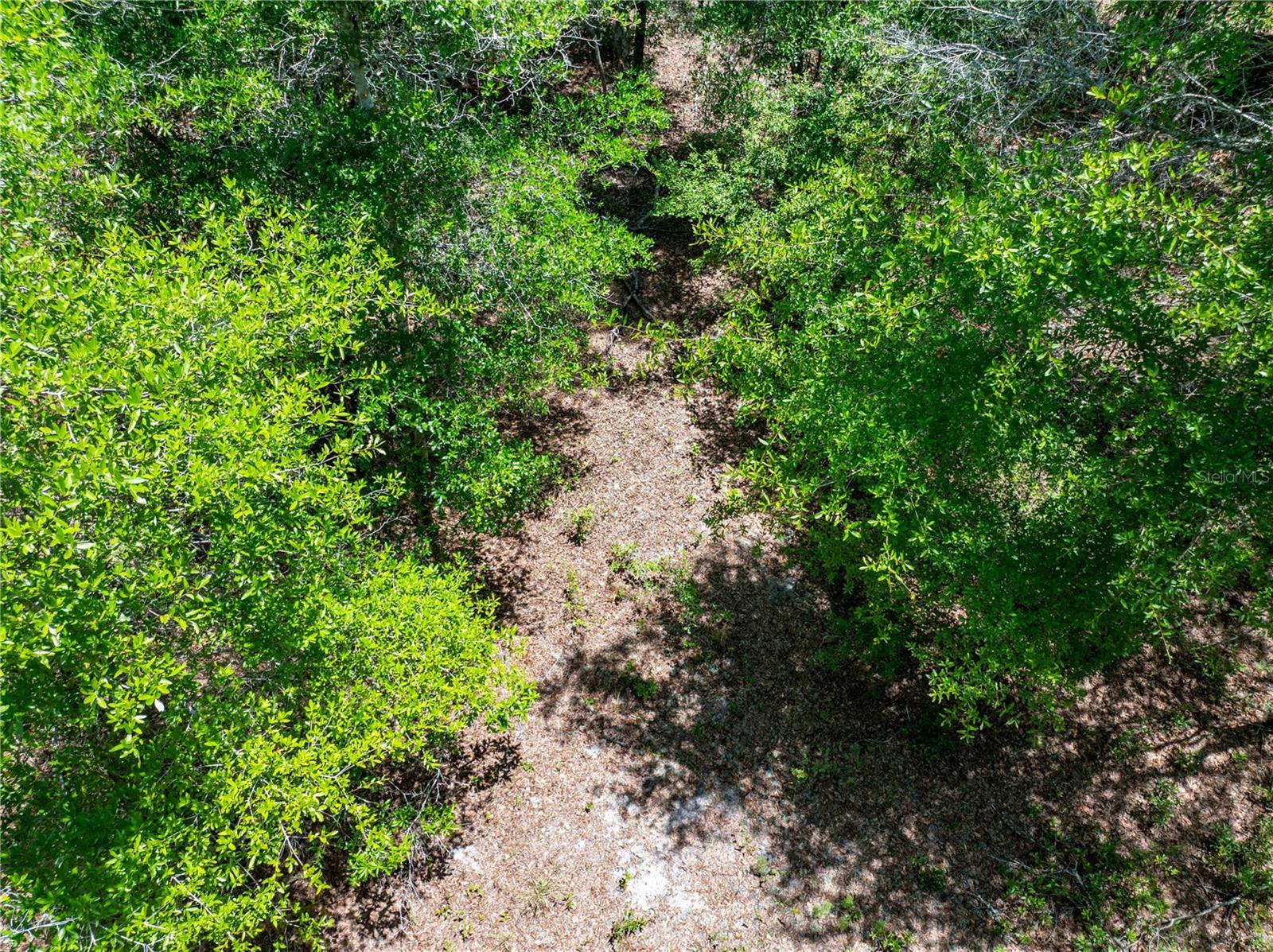 Lot 46 SW ROANOKE TER, FORT WHITE, FL, 32038