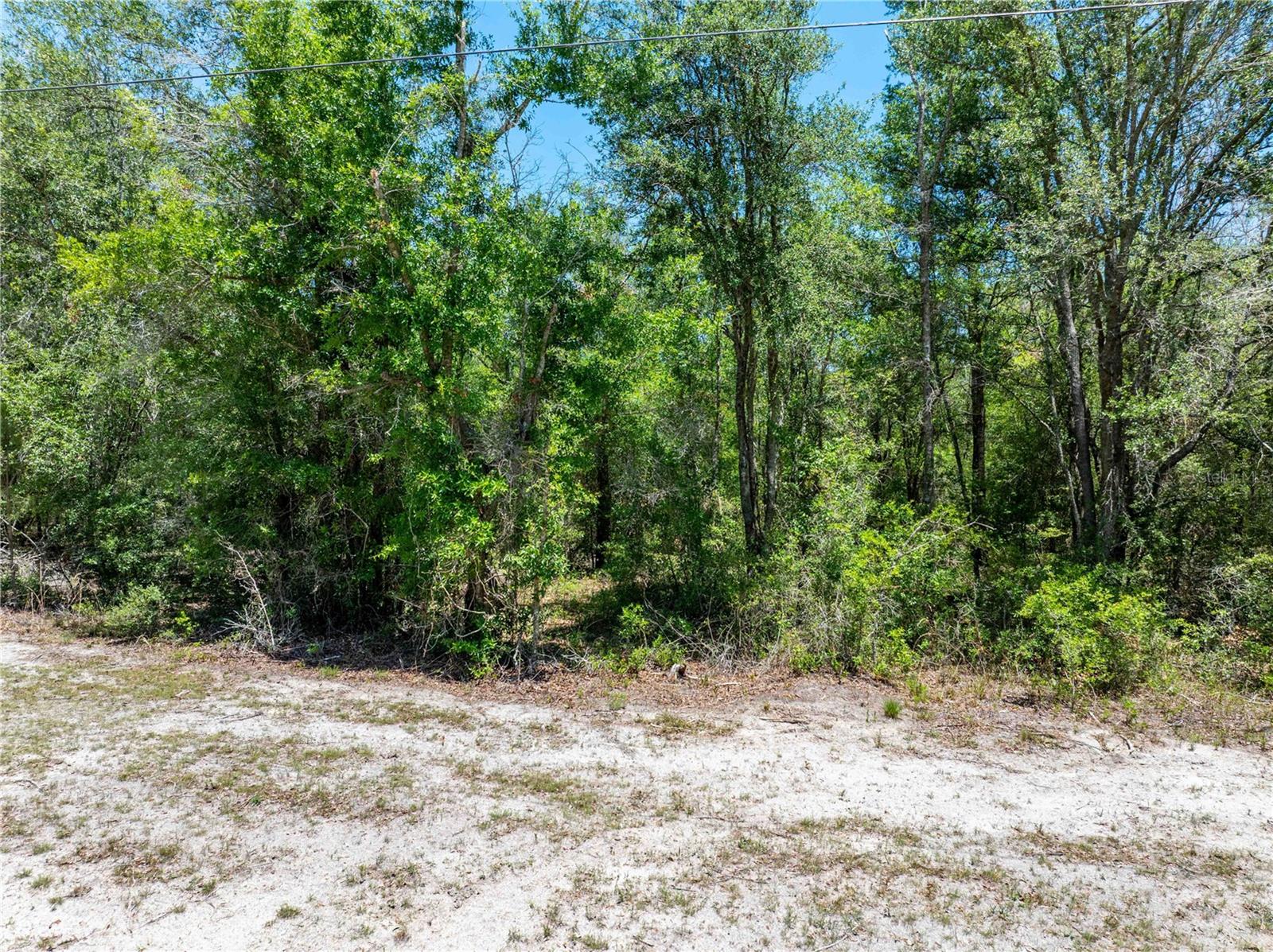 Lot 46 SW ROANOKE TER, FORT WHITE, FL, 32038