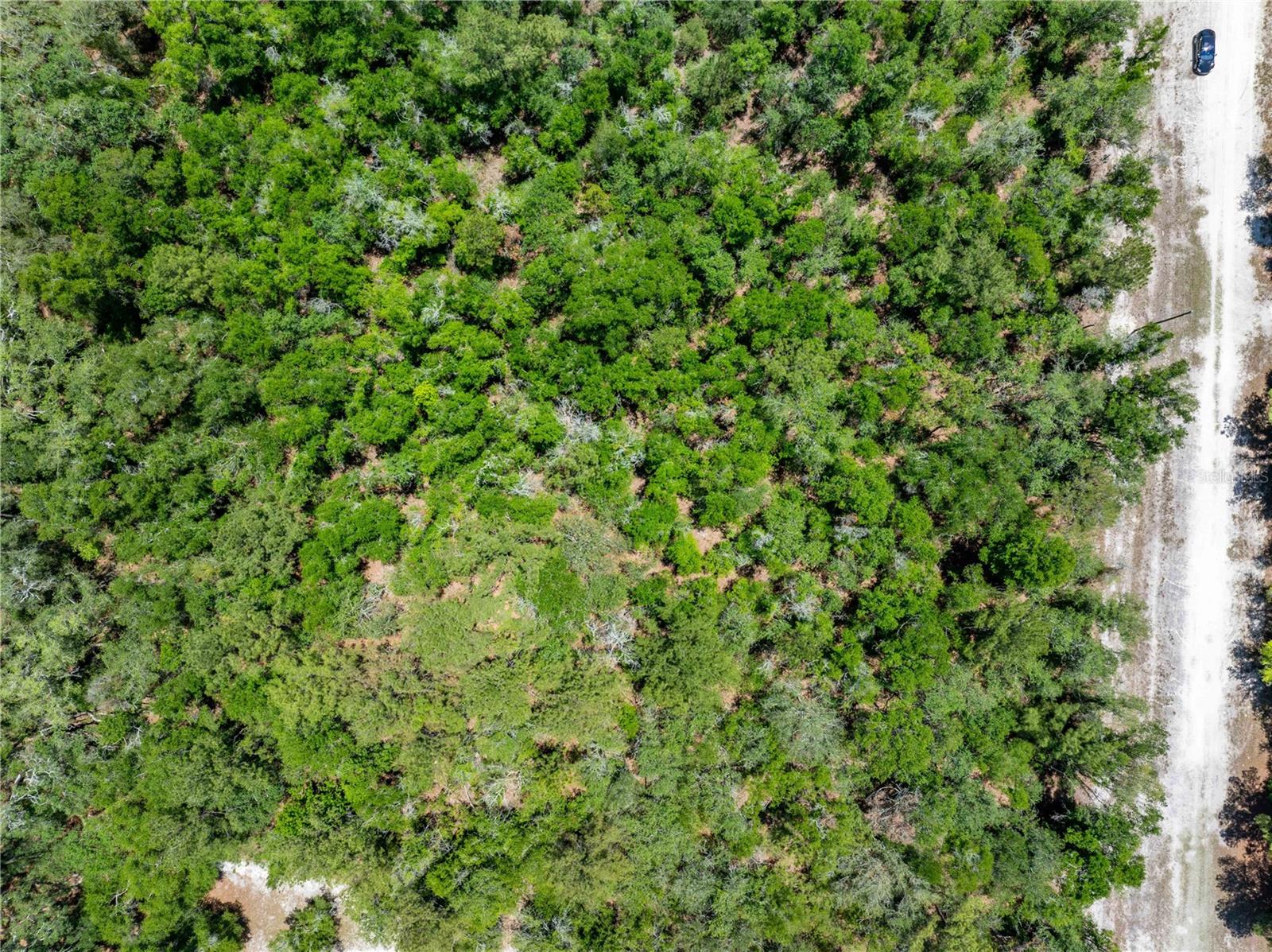 Lot 46 SW ROANOKE TER, FORT WHITE, FL, 32038