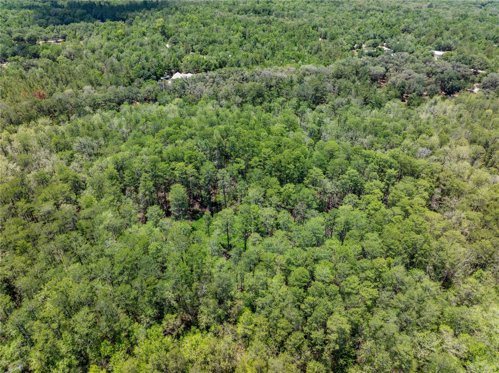 Lot 46 SW ROANOKE TER, FORT WHITE, FL, 32038