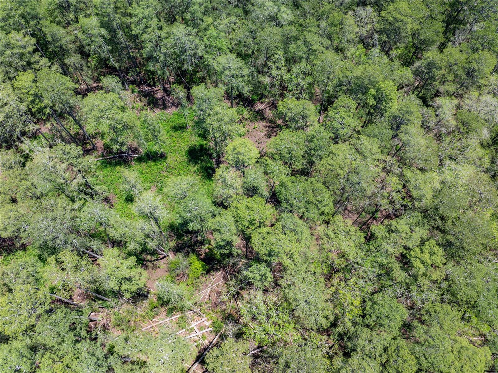 Lot 46 SW ROANOKE TER, FORT WHITE, FL, 32038