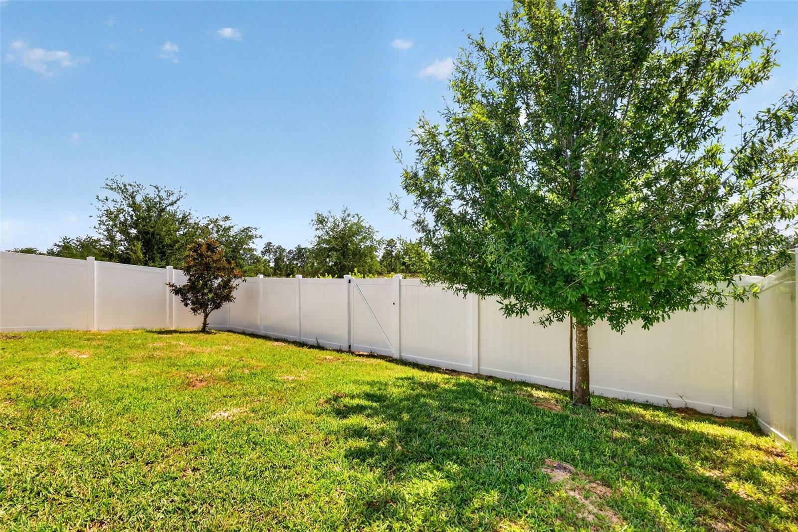 2281 MYSTIC MAZE LN, CLERMONT, FL, 34715