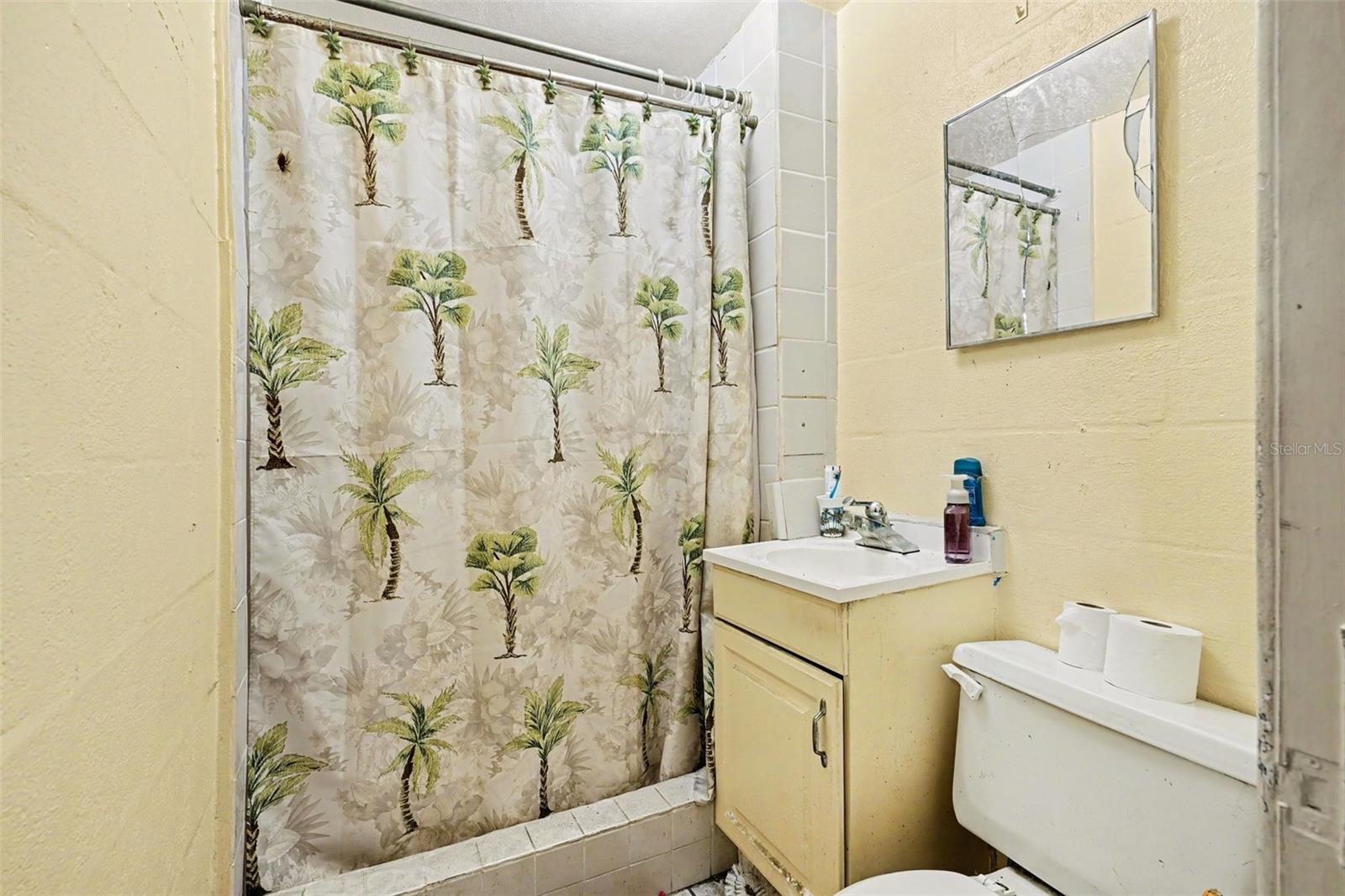 842 MERIDIAN AVE, LAKELAND, FL, 33801