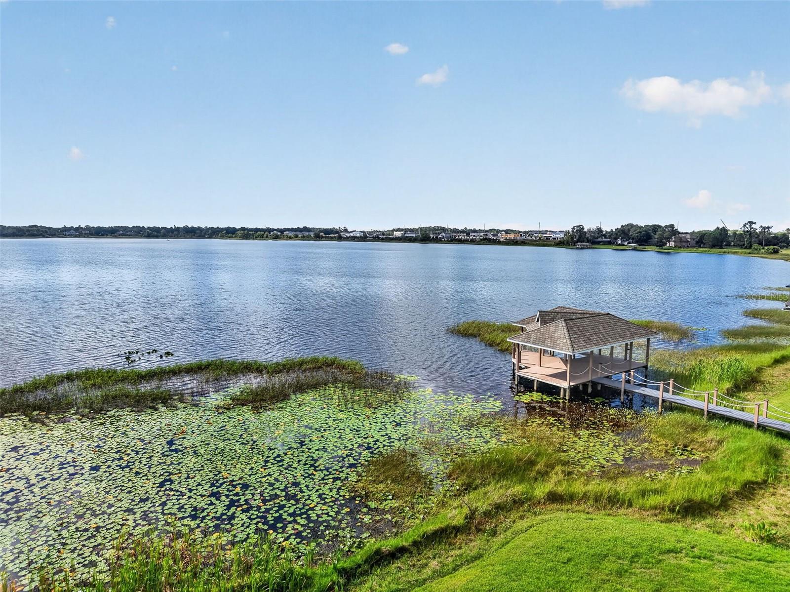 1000 JULIETTE BLVD, MOUNT DORA, FL, 32757
