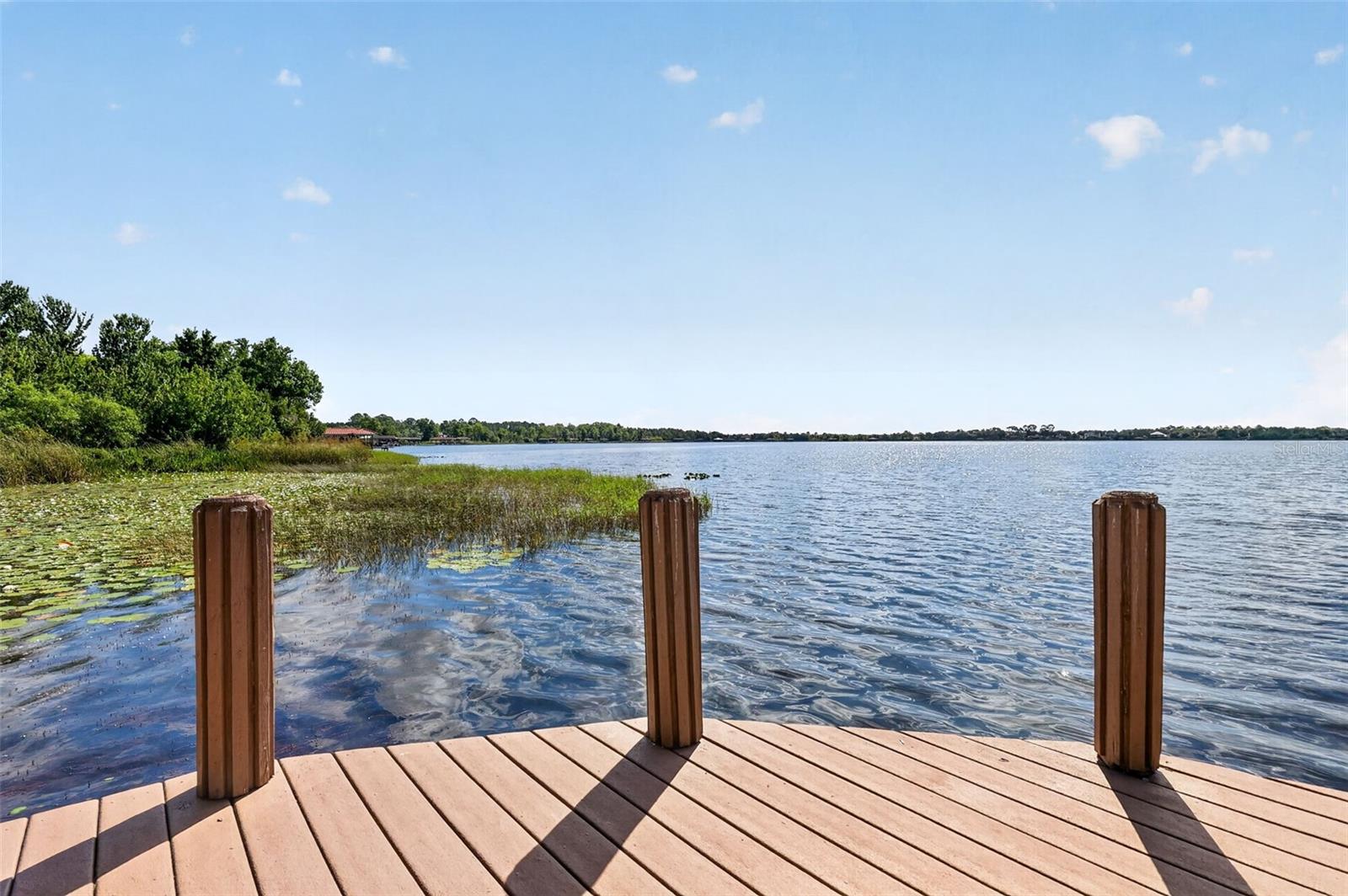 1000 JULIETTE BLVD, MOUNT DORA, FL, 32757