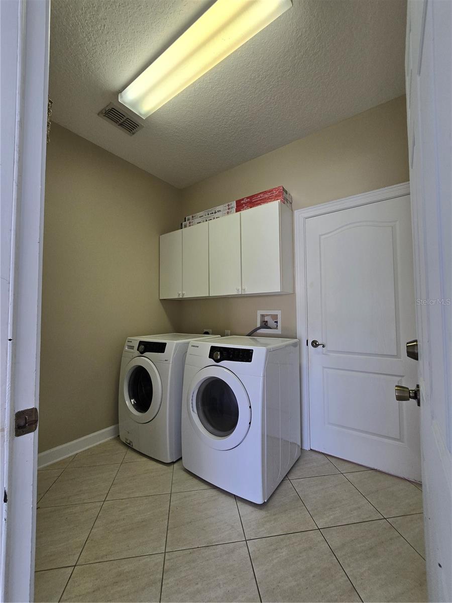 13613 LARSEN LN, WINTER GARDEN, FL, 34787