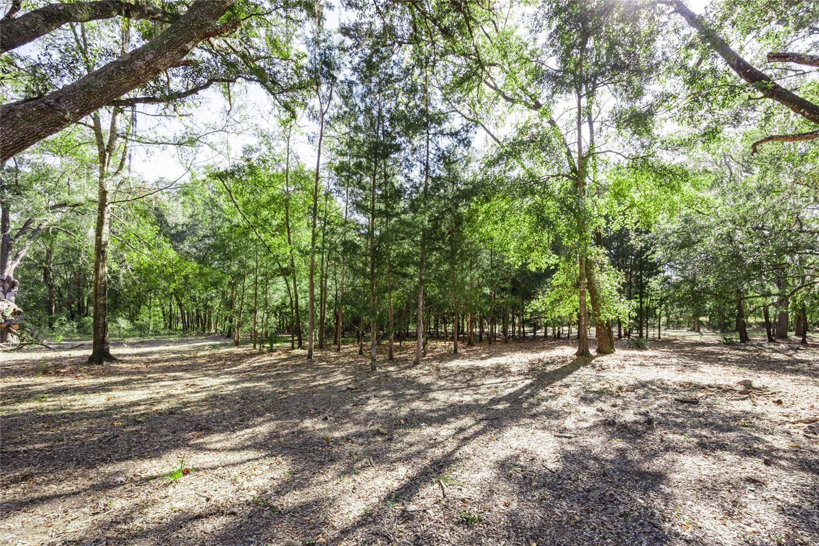 6320 SE 91ST TRL, TRENTON, FL, 32693