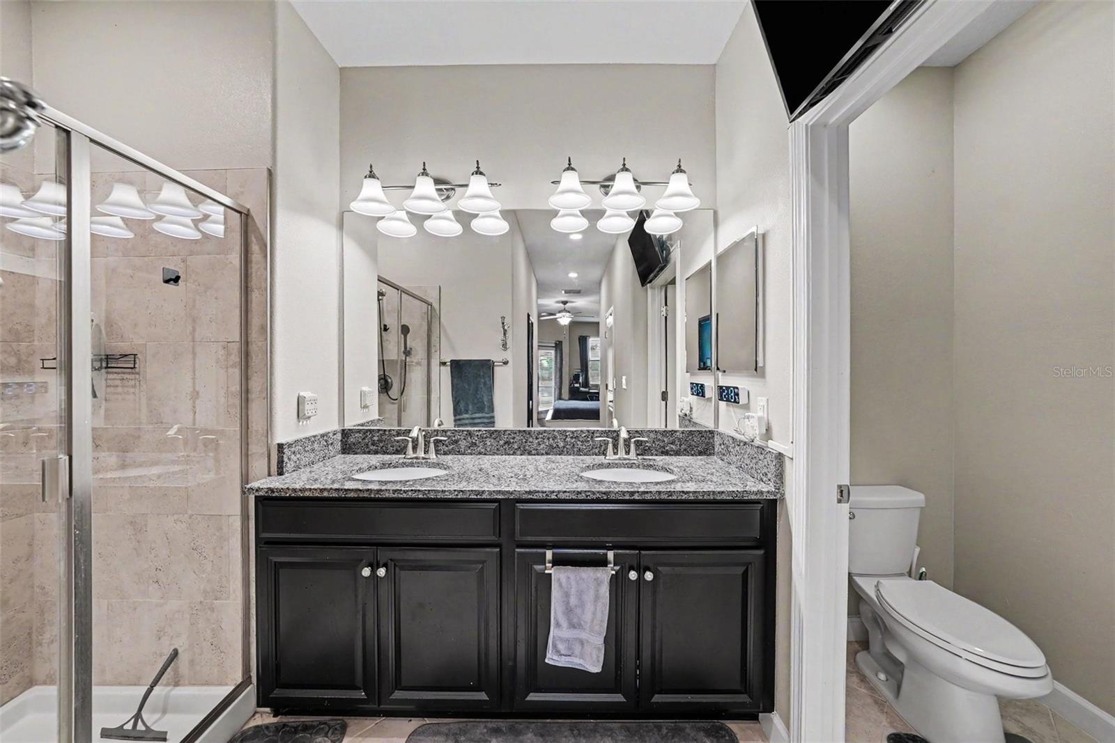 28504 TRANQUIL LAKE CIR, WESLEY CHAPEL, FL, 33543