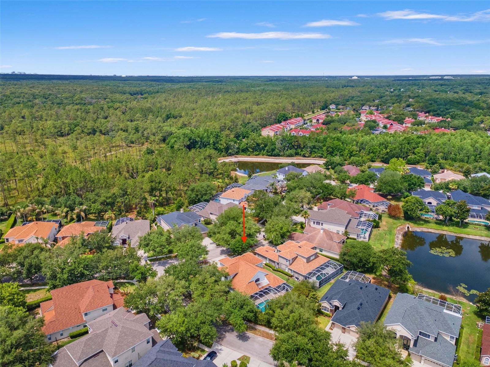 10117 DEERCLIFF DR, TAMPA, FL, 33647
