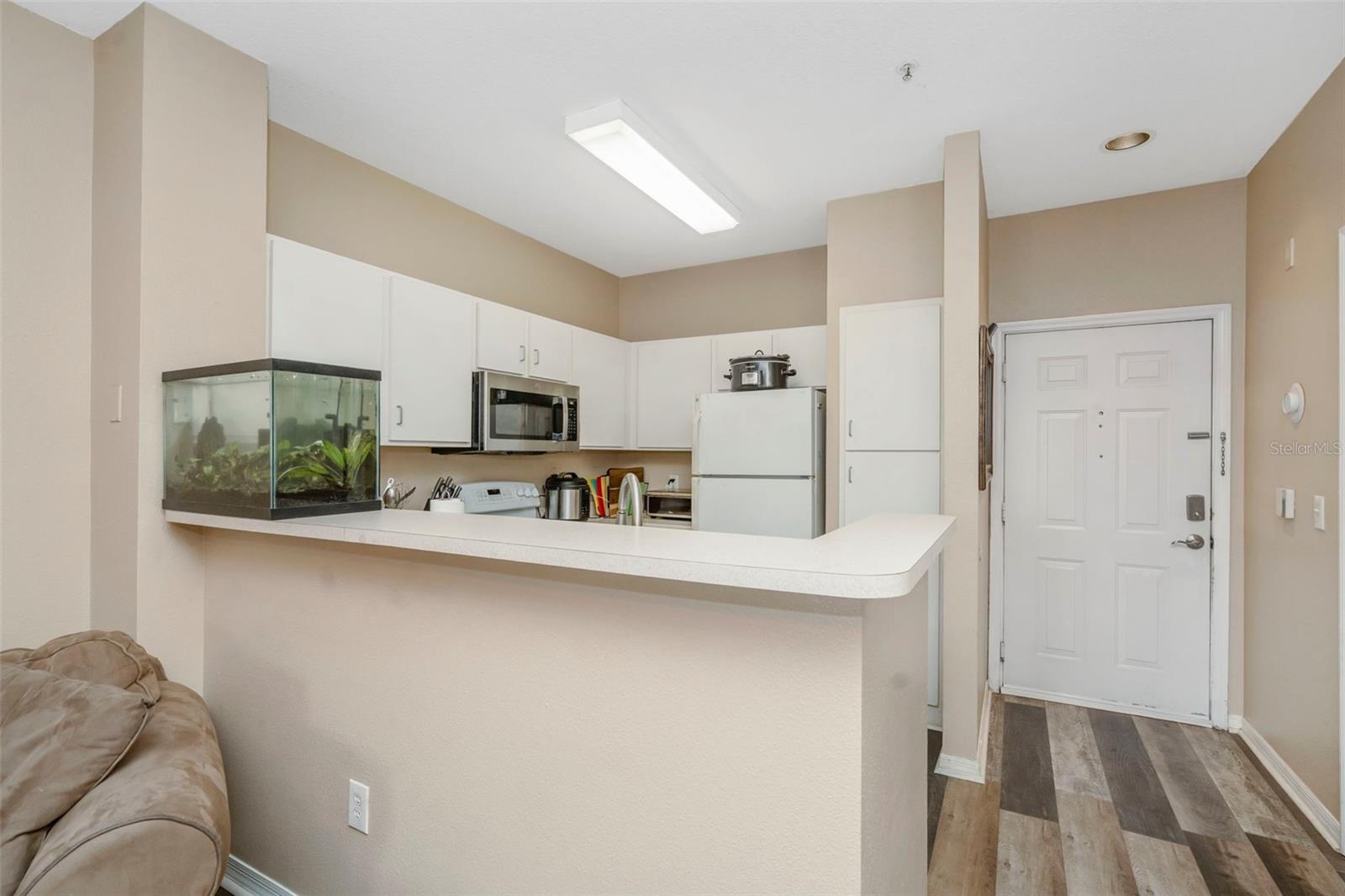 1810 E PALM AVE #5217, TAMPA, FL, 33605