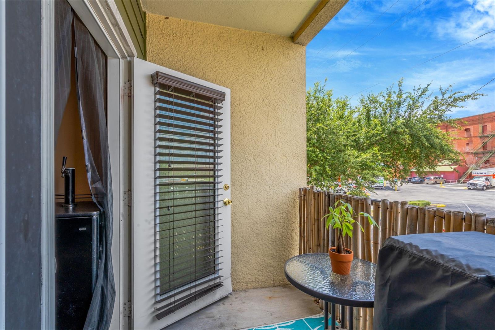 1810 E PALM AVE #5217, TAMPA, FL, 33605