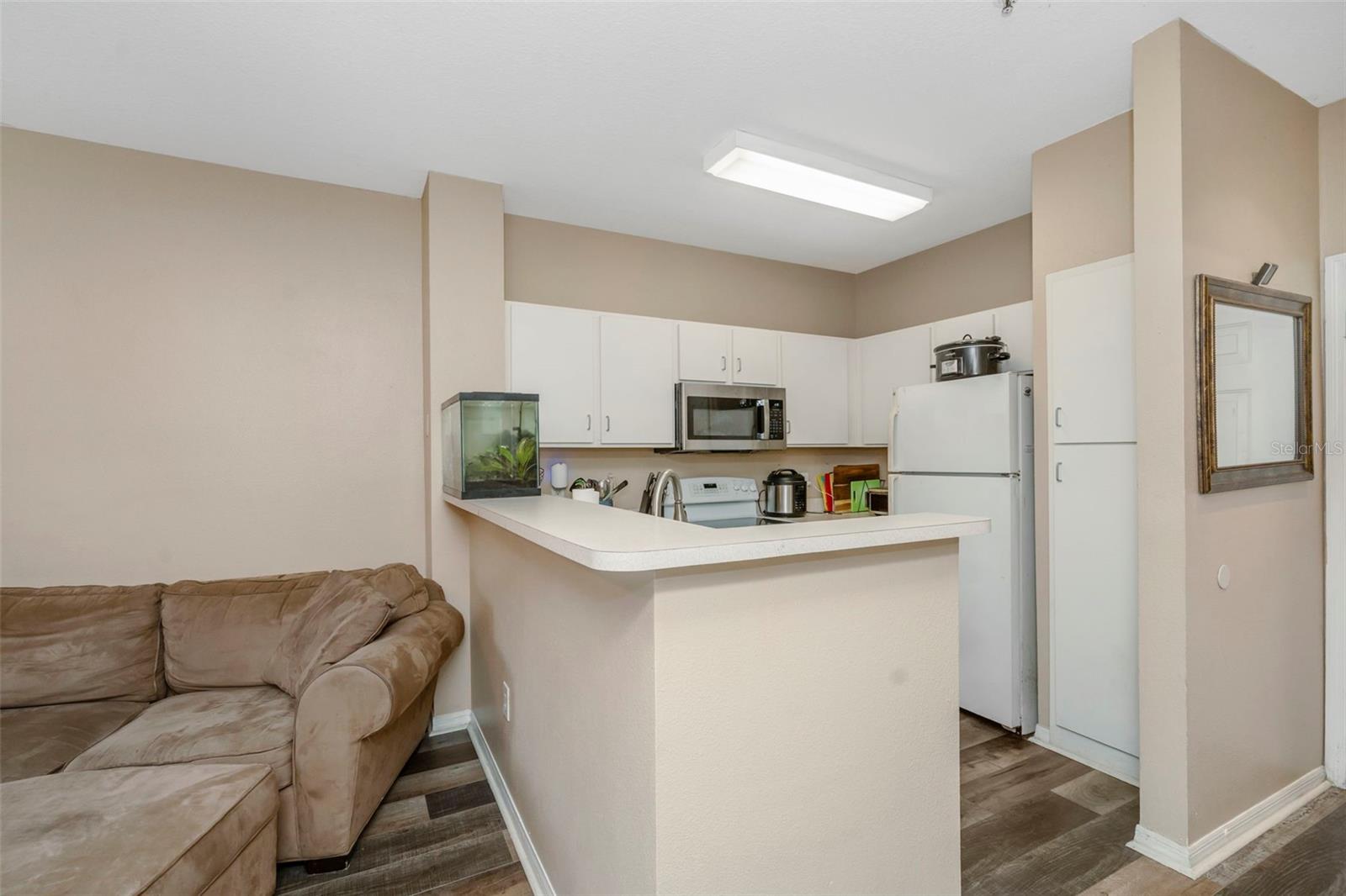 1810 E PALM AVE #5217, TAMPA, FL, 33605