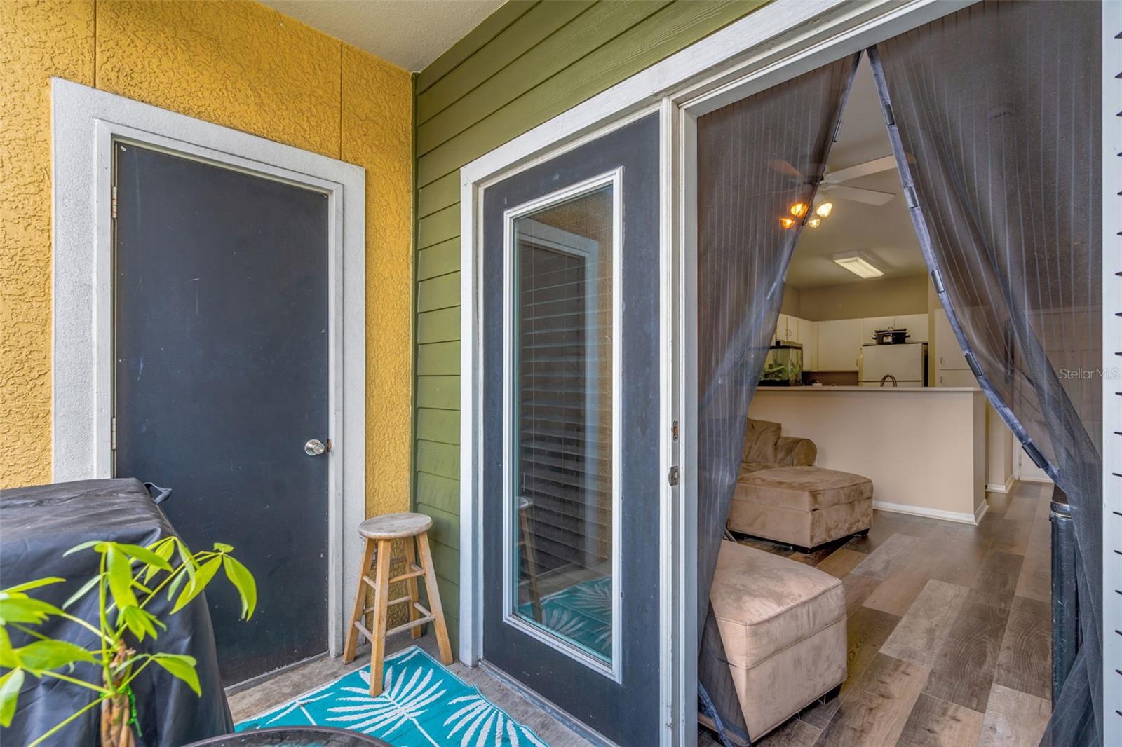 1810 E PALM AVE #5217, TAMPA, FL, 33605