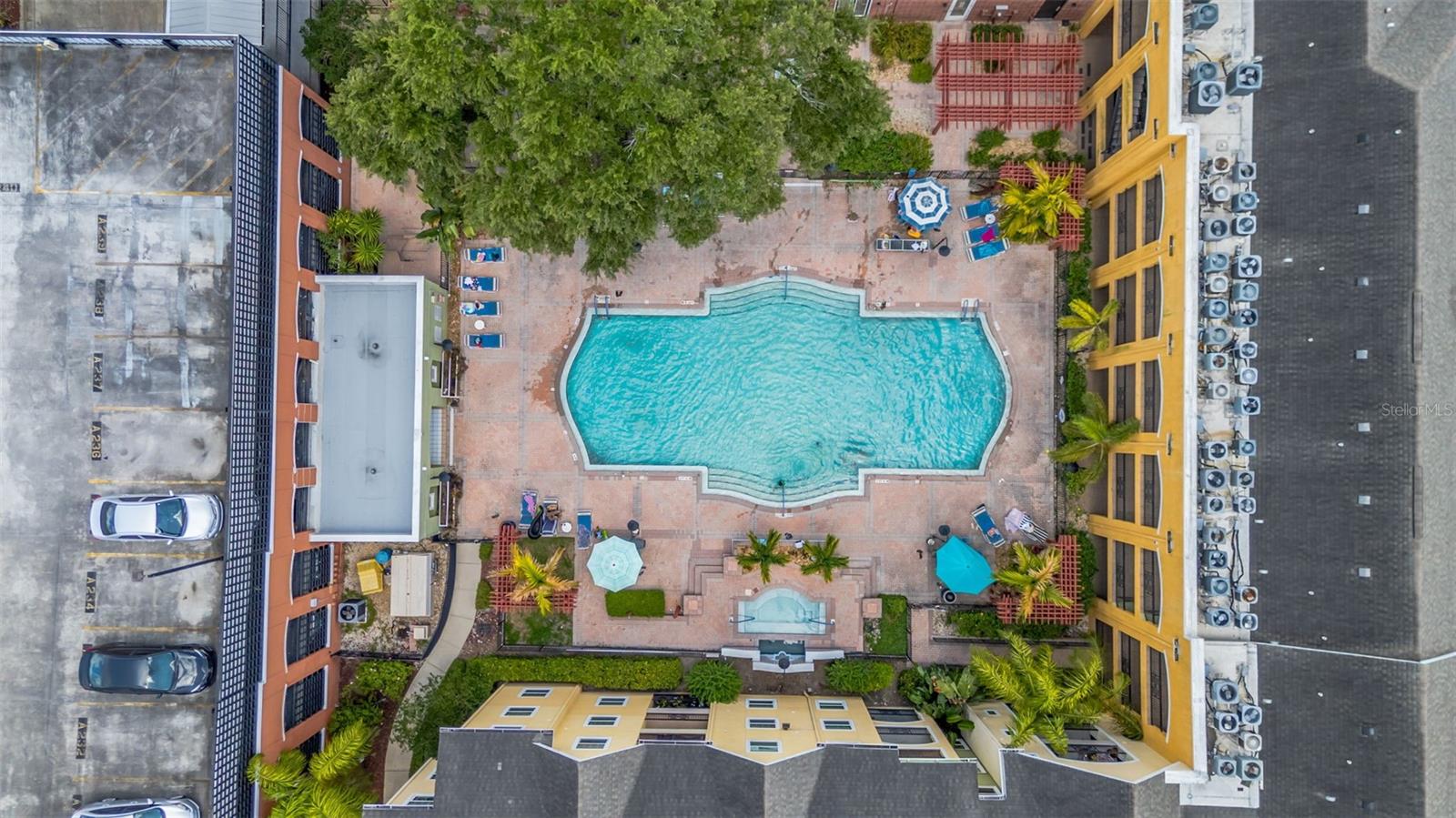 1810 E PALM AVE #5217, TAMPA, FL, 33605