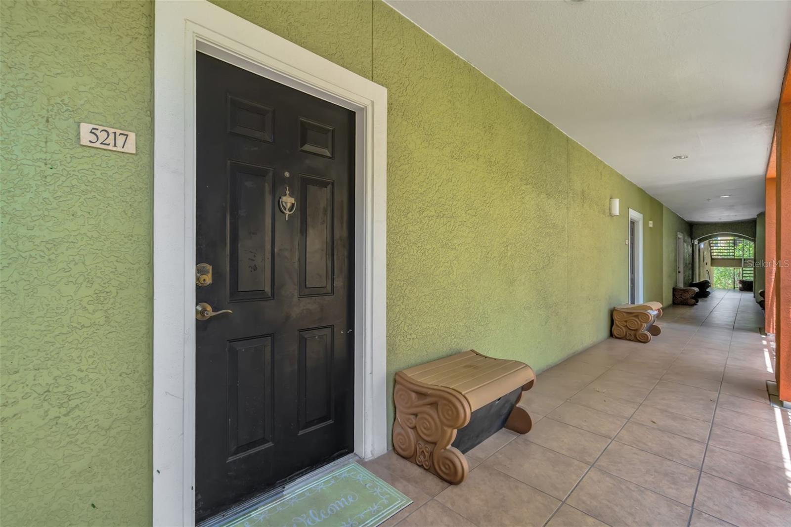 1810 E PALM AVE #5217, TAMPA, FL, 33605