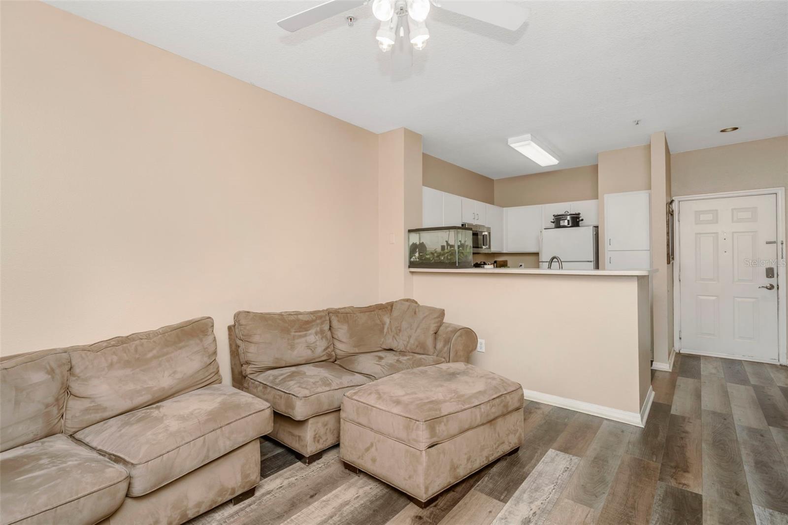 1810 E PALM AVE #5217, TAMPA, FL, 33605