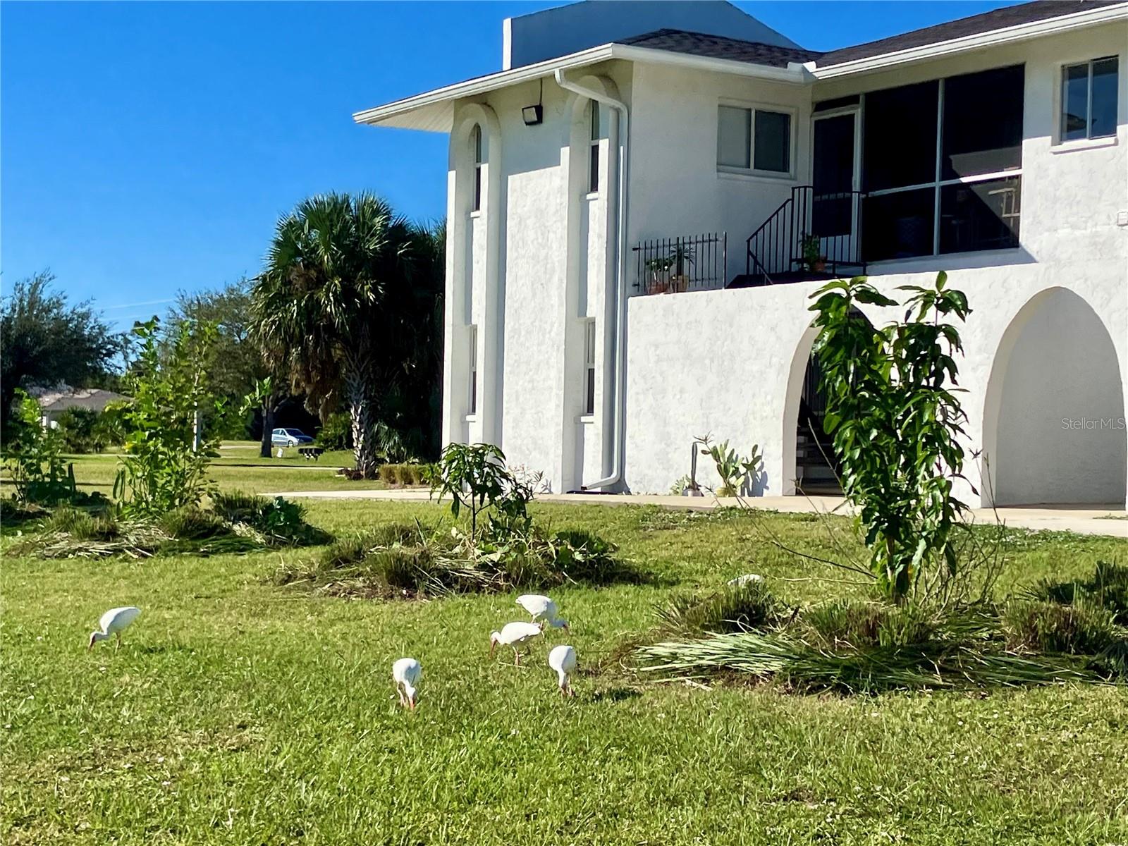 146 BOUNDARY BLVD #B102, ROTONDA WEST, FL, 33947