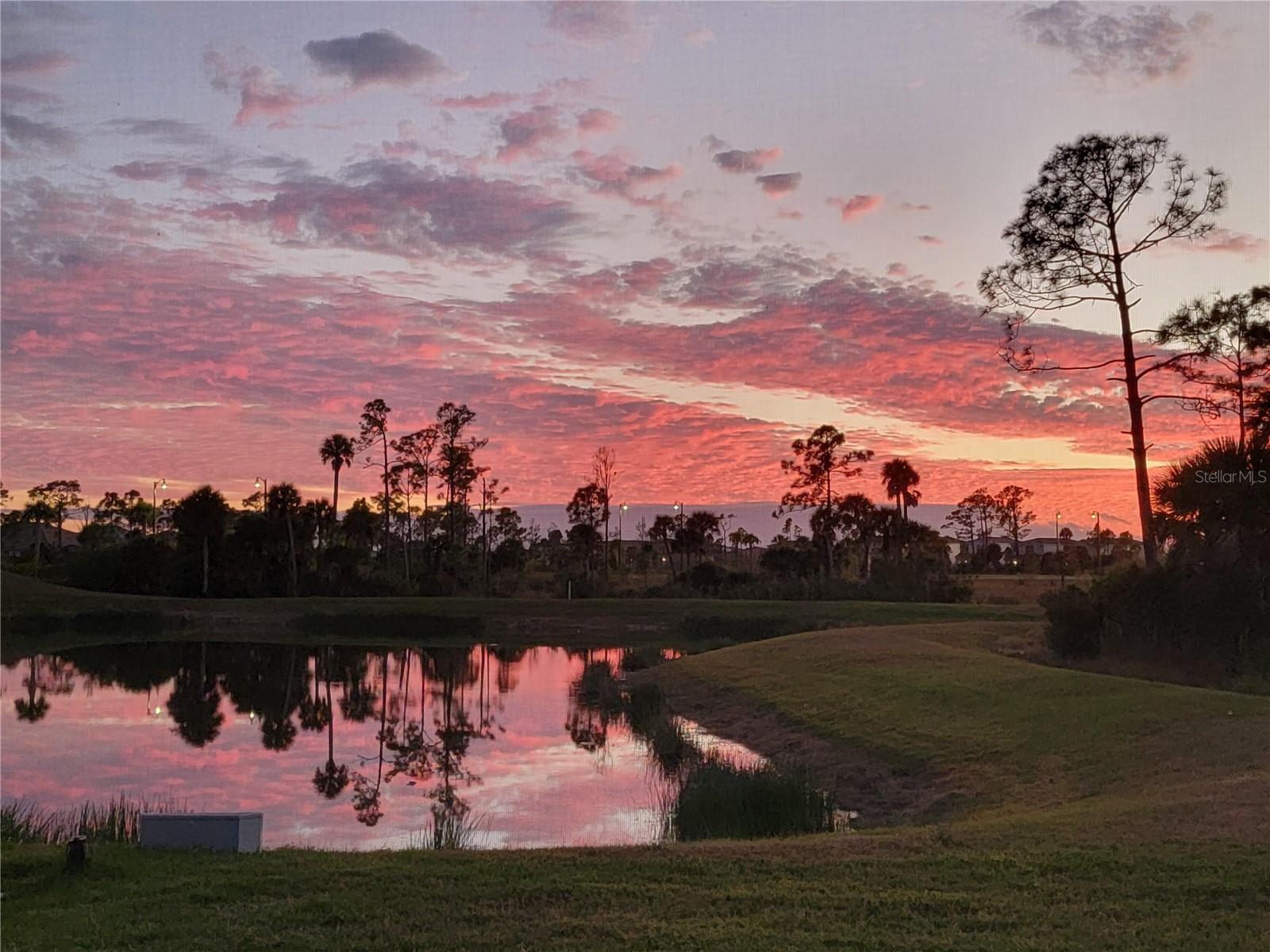 11177 PINOT DR, VENICE, FL, 34293