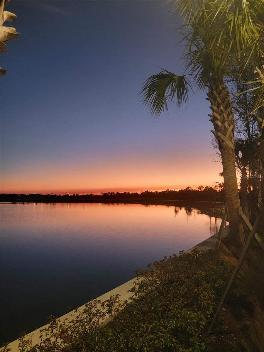 11177 PINOT DR, VENICE, FL, 34293