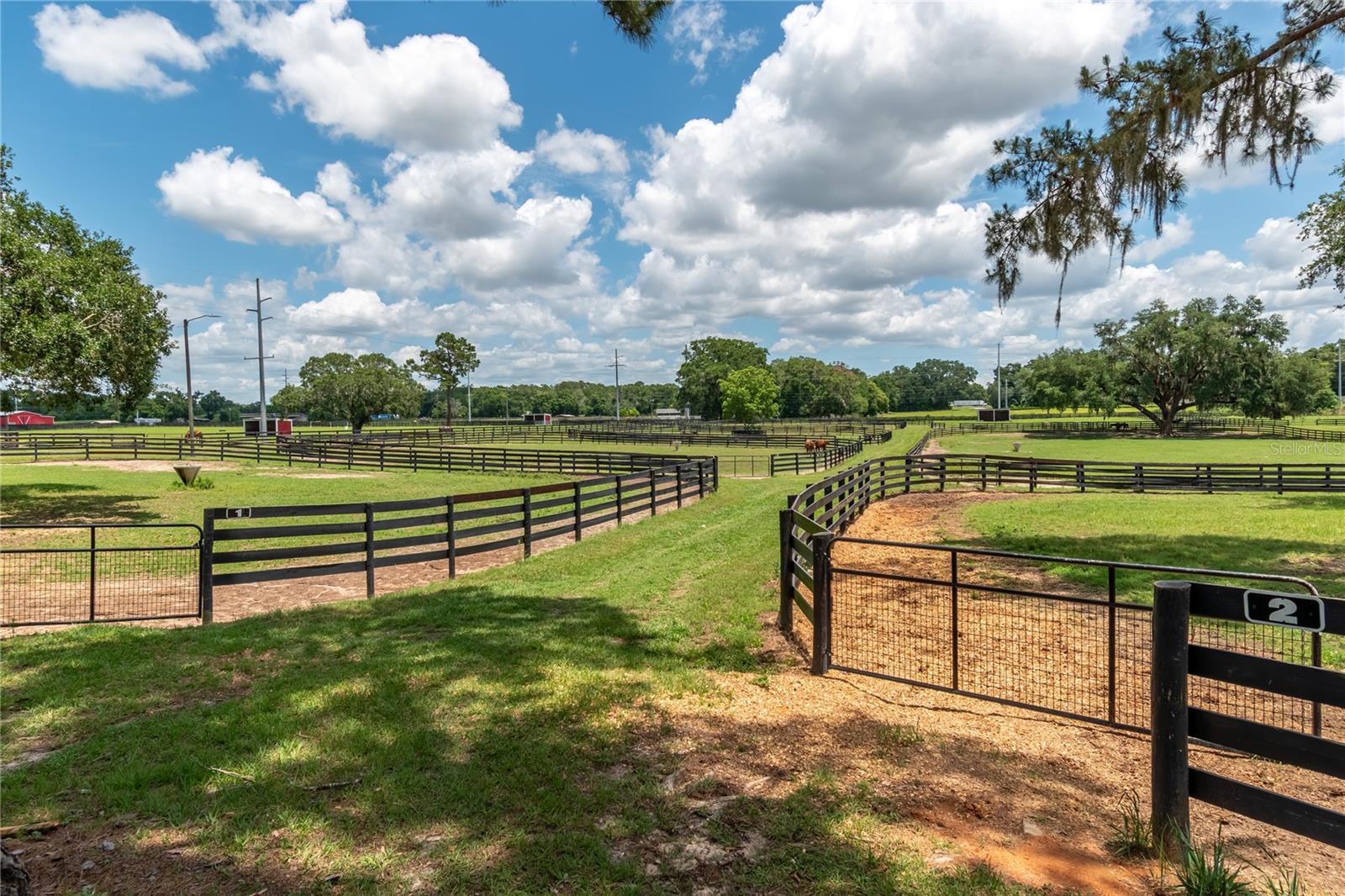 5450 NW 100TH ST, OCALA, FL, 34482