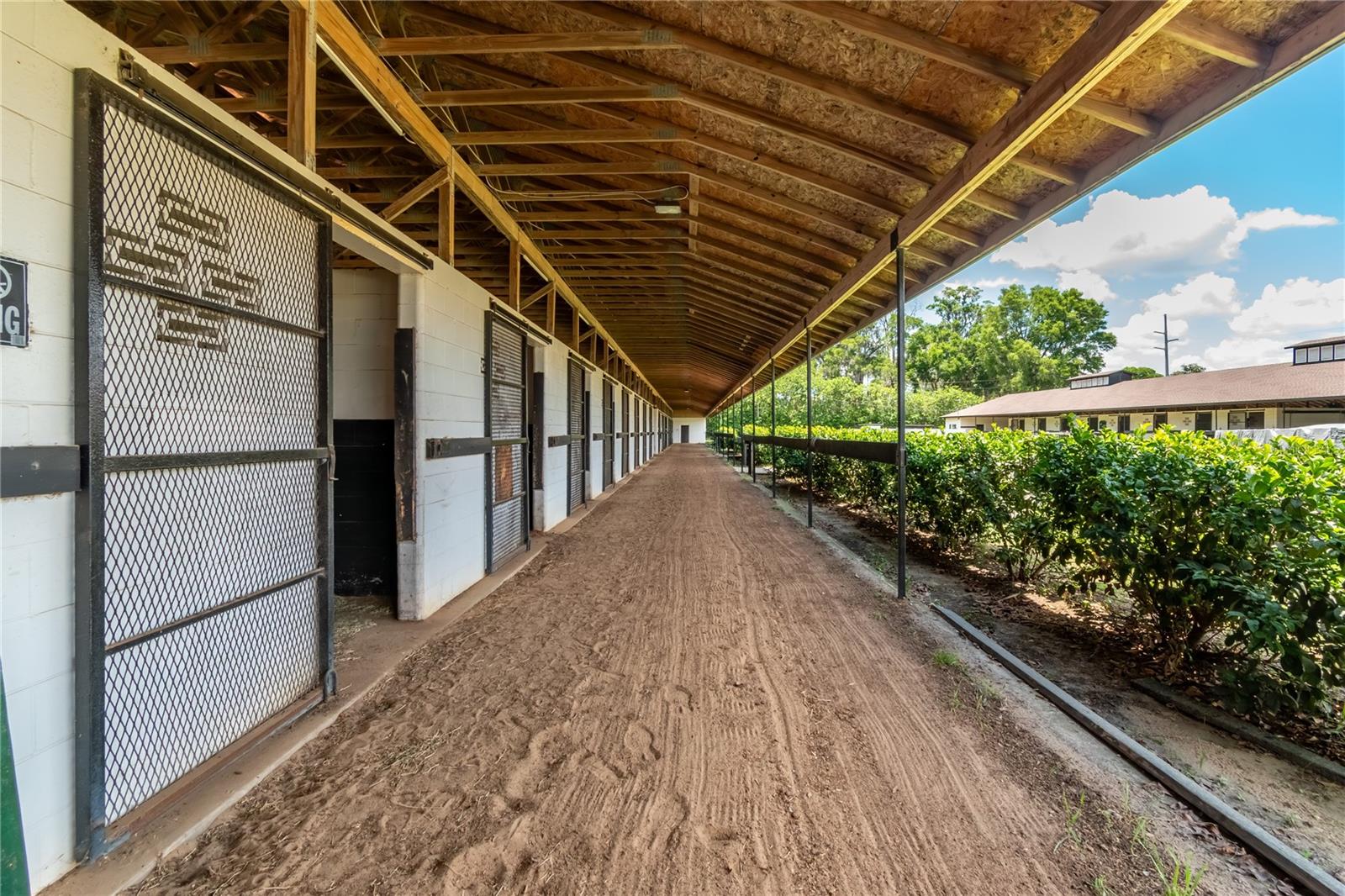 5450 NW 100TH ST, OCALA, FL, 34482