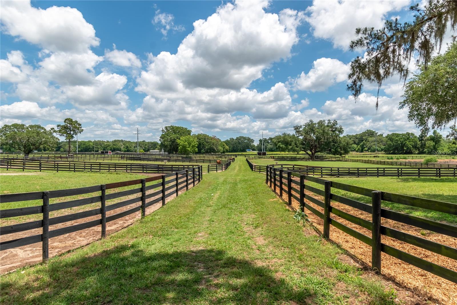 5450 NW 100TH ST, OCALA, FL, 34482