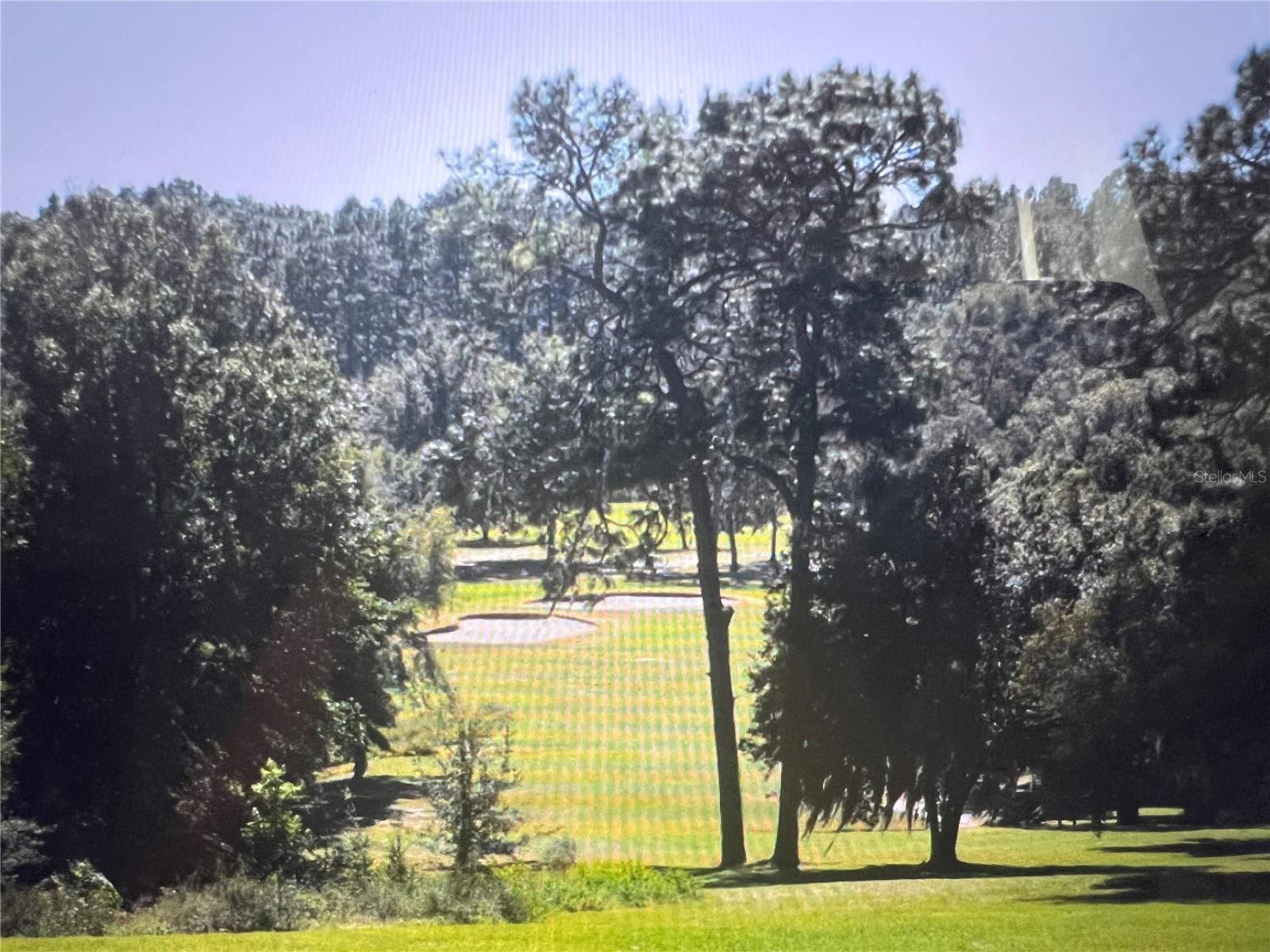 8572 N PITCAIRN WAY, DUNNELLON, FL, 34434