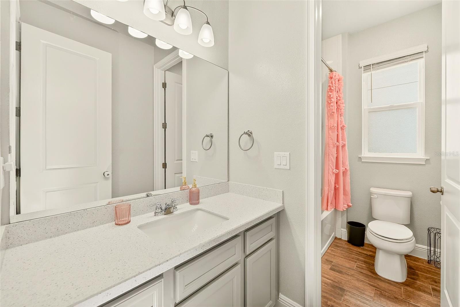 10606 PLANER PICKET DR, RIVERVIEW, FL, 33569