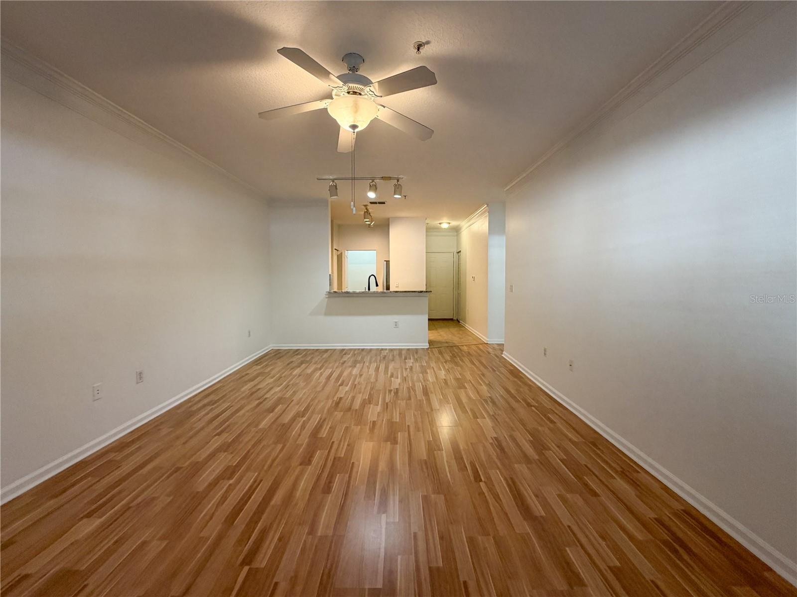 4207 S DALE MABRY HWY #7106, TAMPA, FL, 33611
