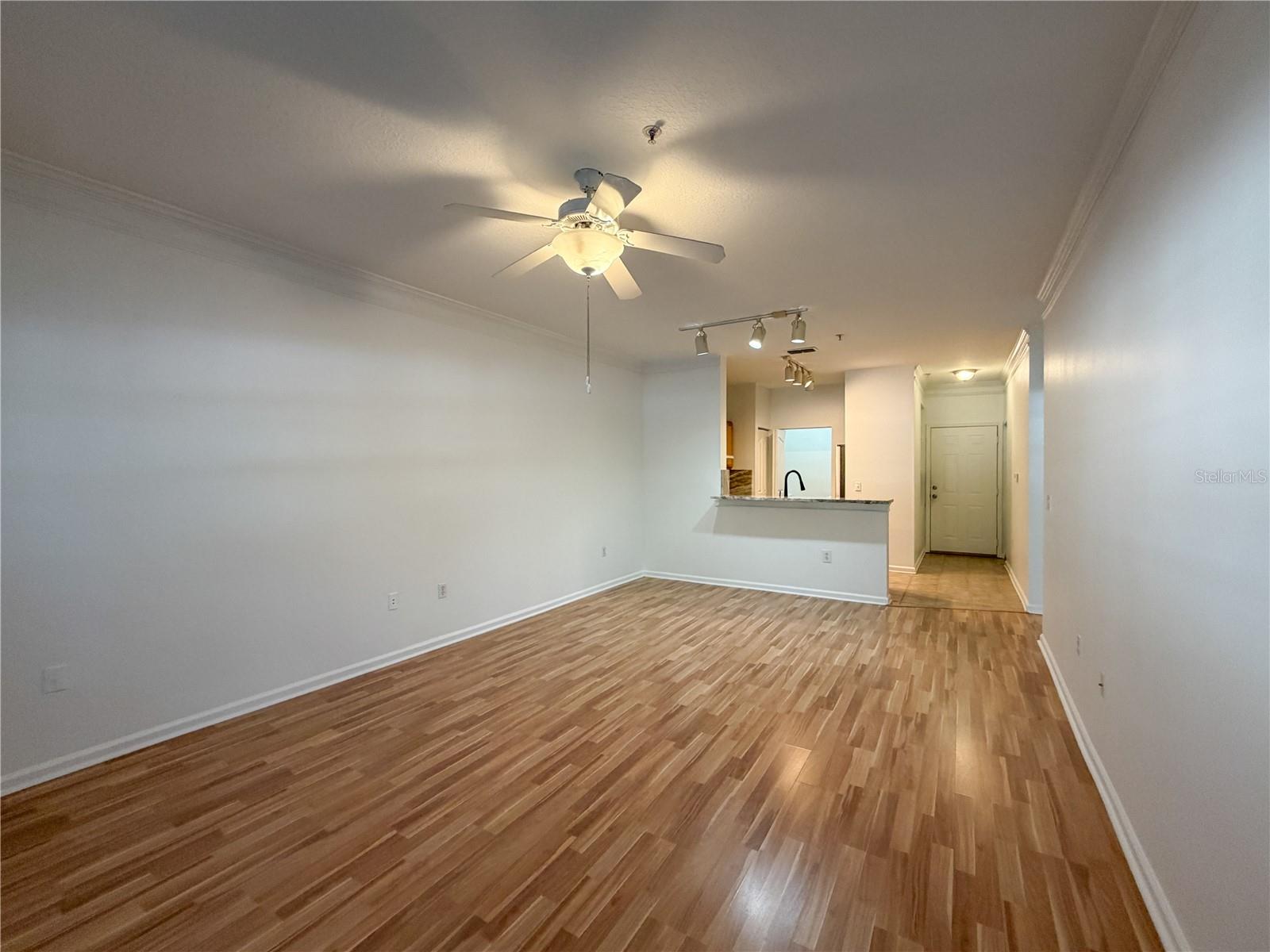 4207 S DALE MABRY HWY #7106, TAMPA, FL, 33611