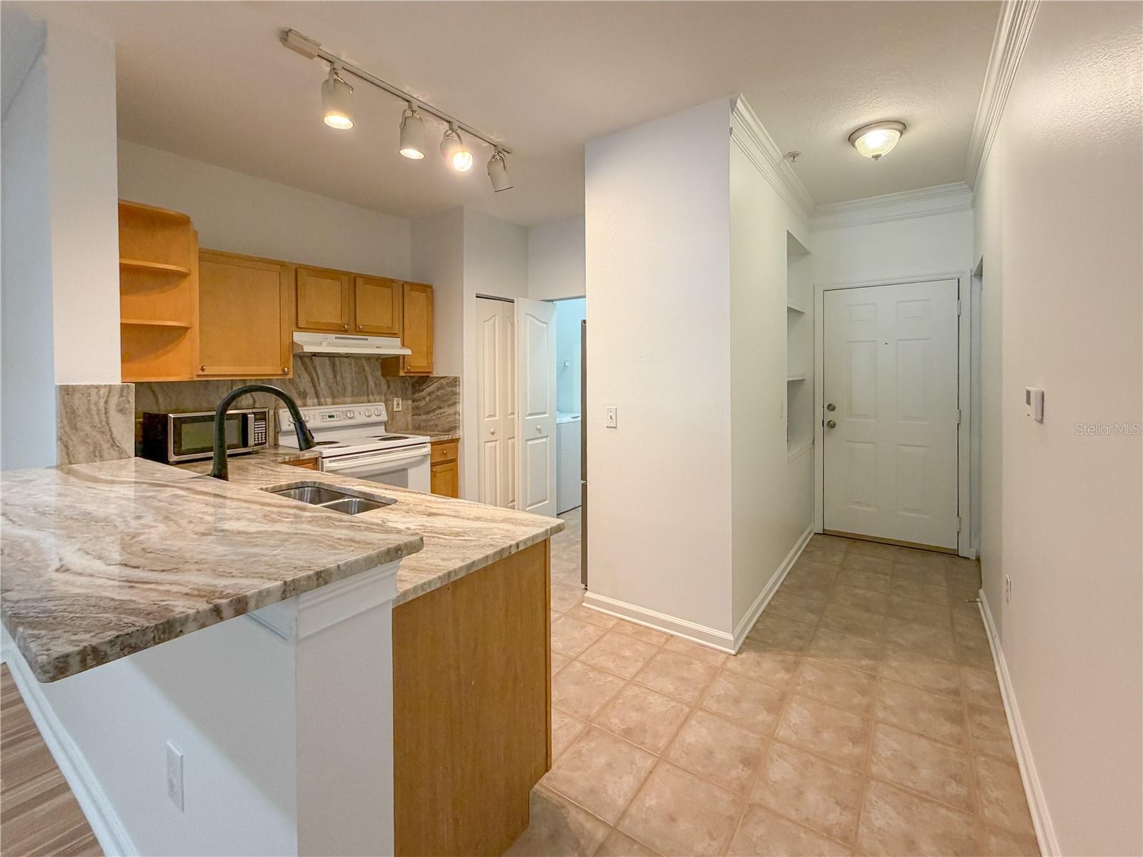4207 S DALE MABRY HWY #7106, TAMPA, FL, 33611