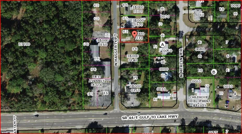 1195 N HAGGERTY PT, CRYSTAL RIVER, FL, 34429