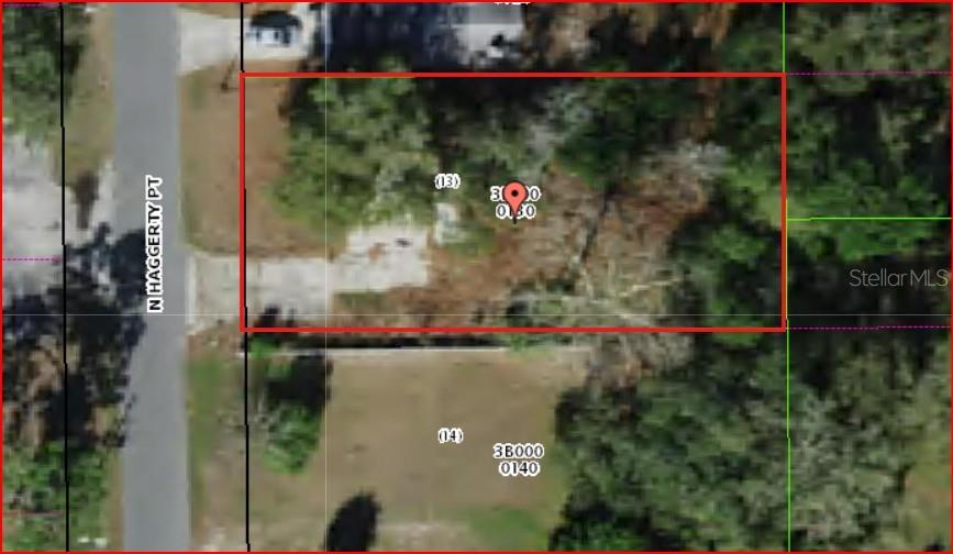1195 N HAGGERTY PT, CRYSTAL RIVER, FL, 34429