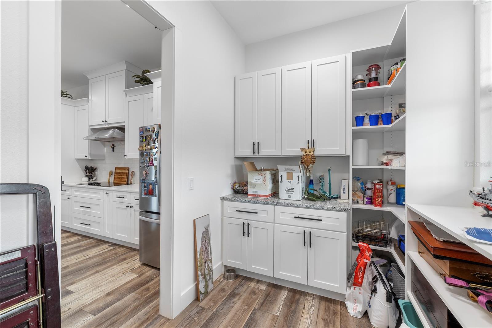 35940 RAMSEY RIDGE DR, DADE CITY, FL, 33523