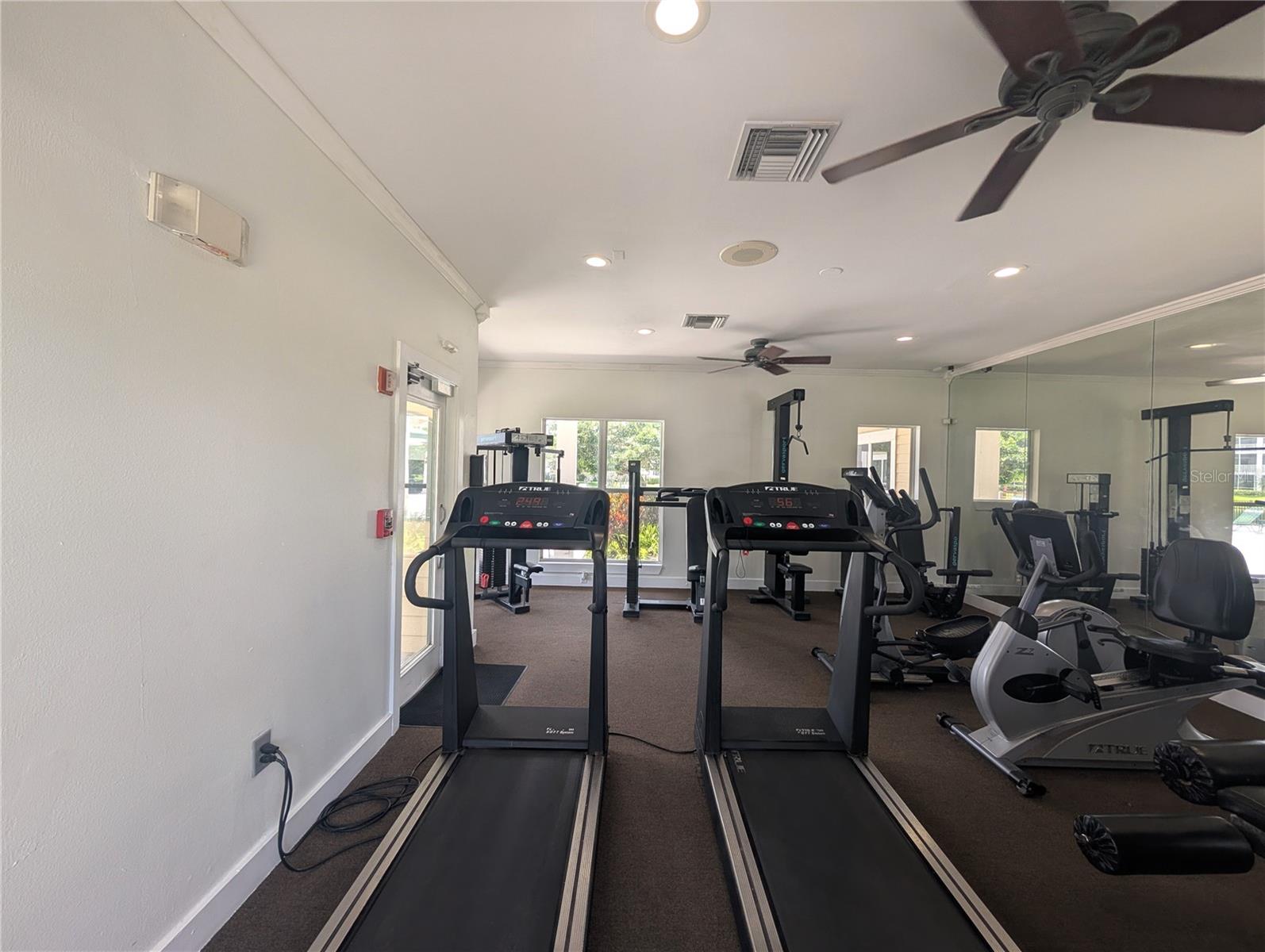 4211 CHATHAM OAK CT #124, TAMPA, FL, 33624