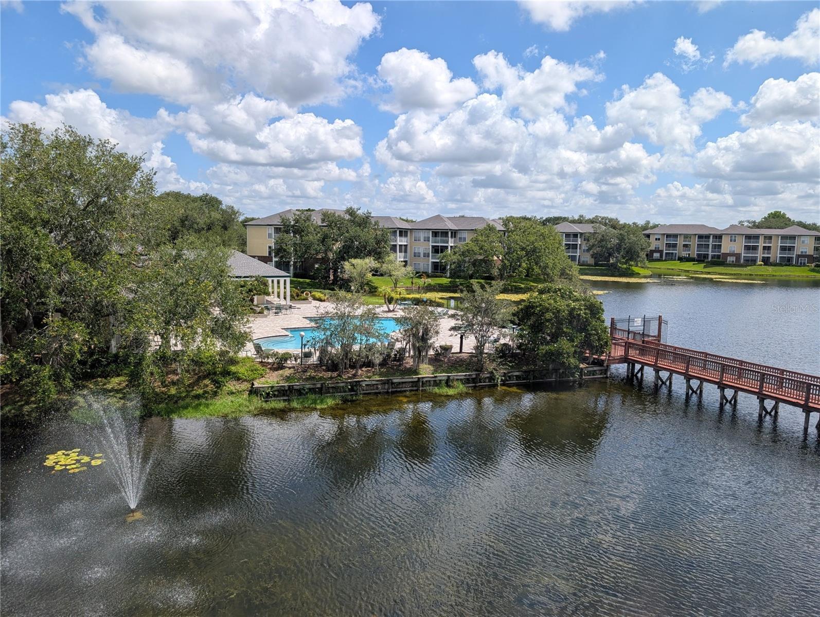 4211 CHATHAM OAK CT #124, TAMPA, FL, 33624