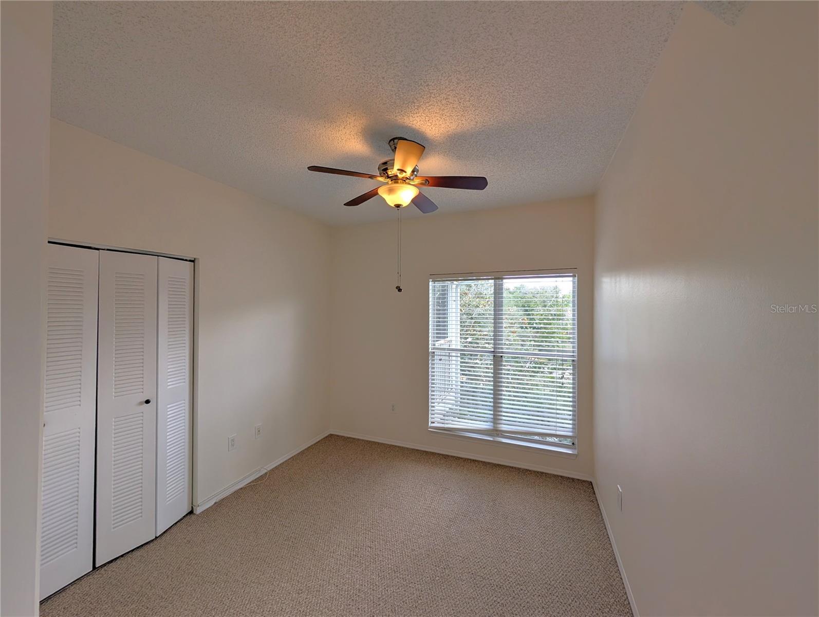 4211 CHATHAM OAK CT #124, TAMPA, FL, 33624