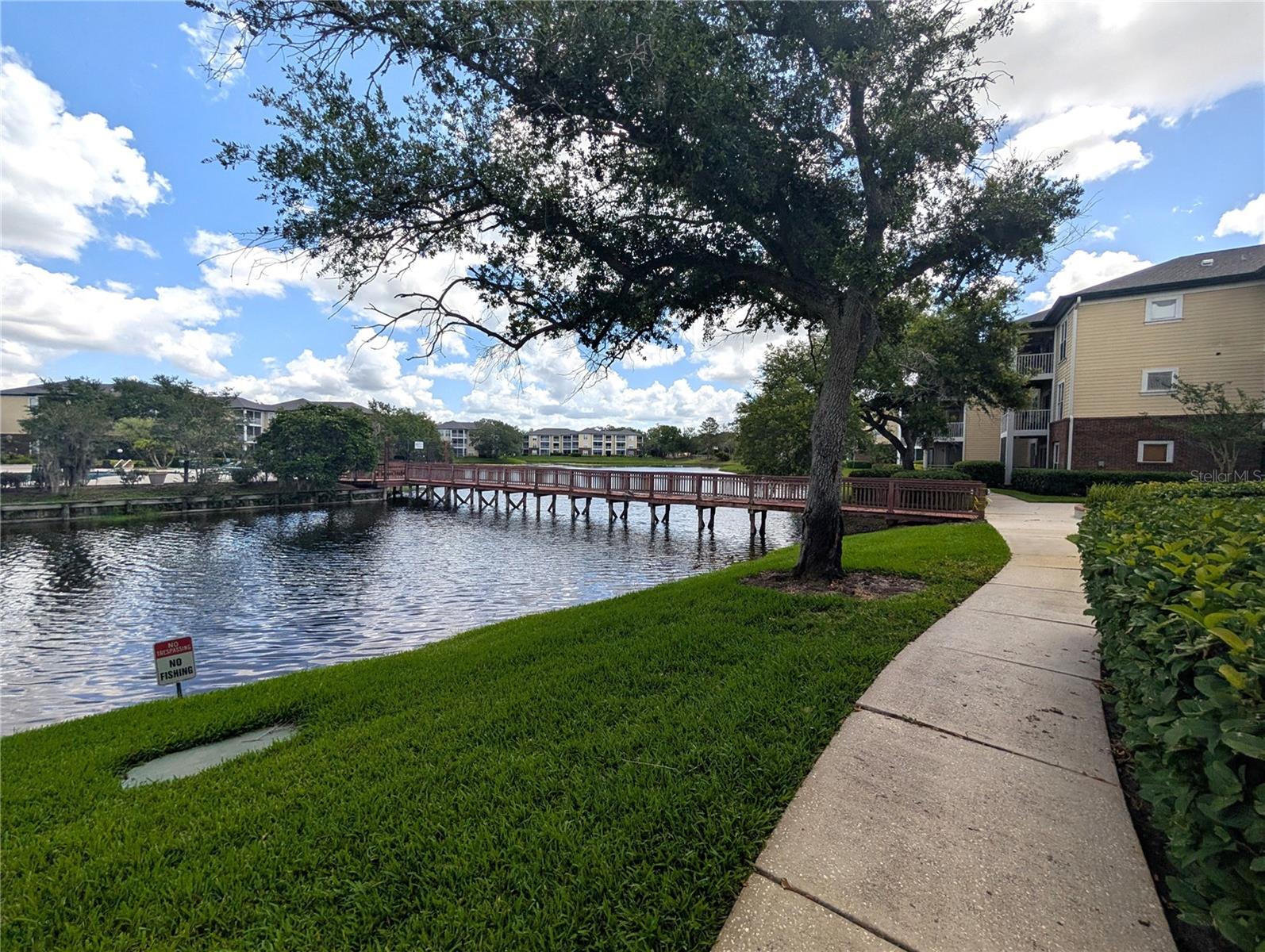 4211 CHATHAM OAK CT #124, TAMPA, FL, 33624
