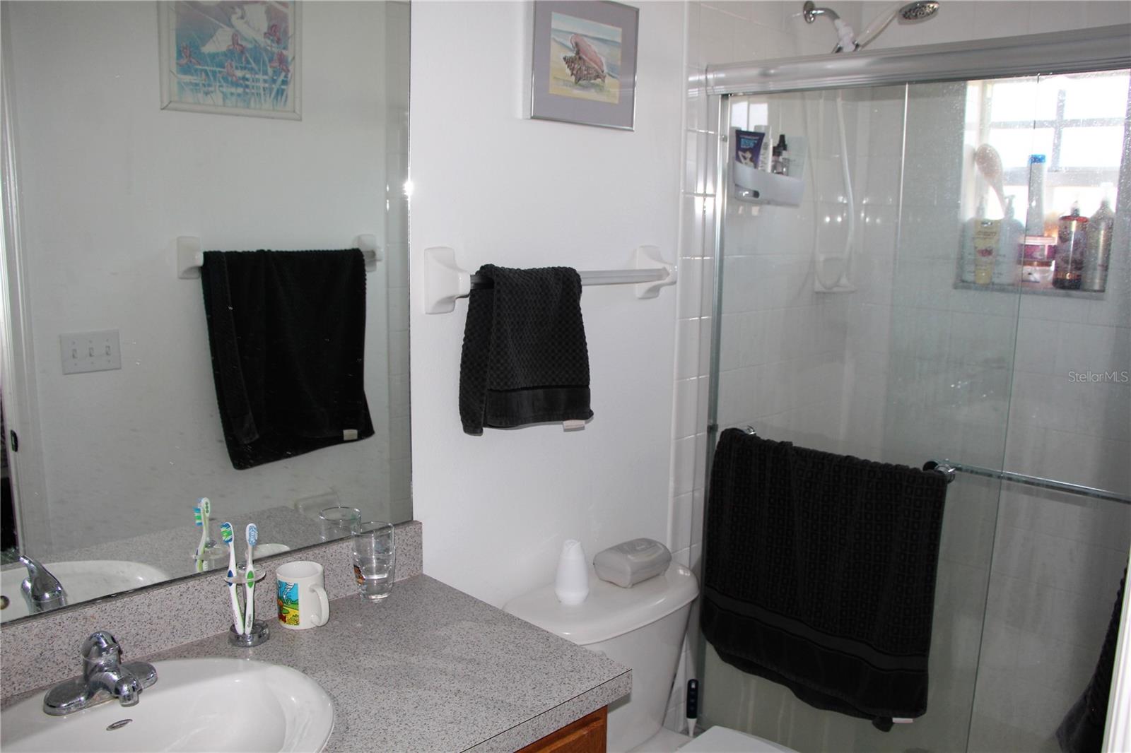 319 SUMMER CLOUDS PLACE, BRANDON, FL, 33511