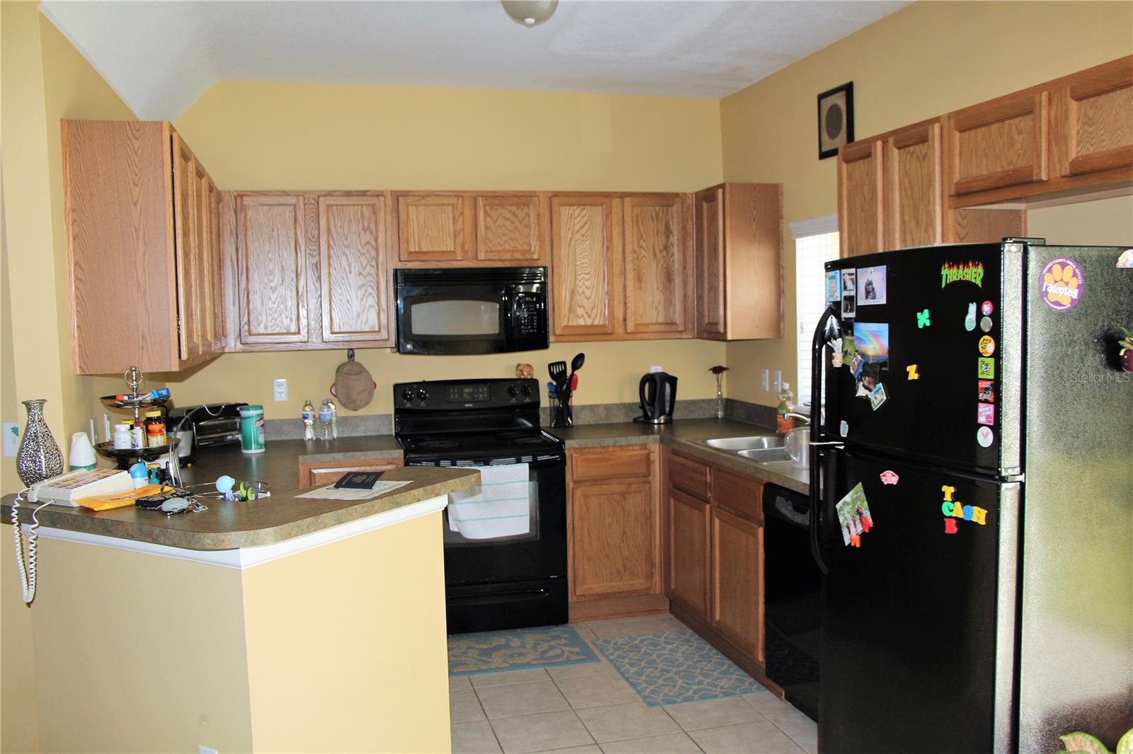 319 SUMMER CLOUDS PLACE, BRANDON, FL, 33511