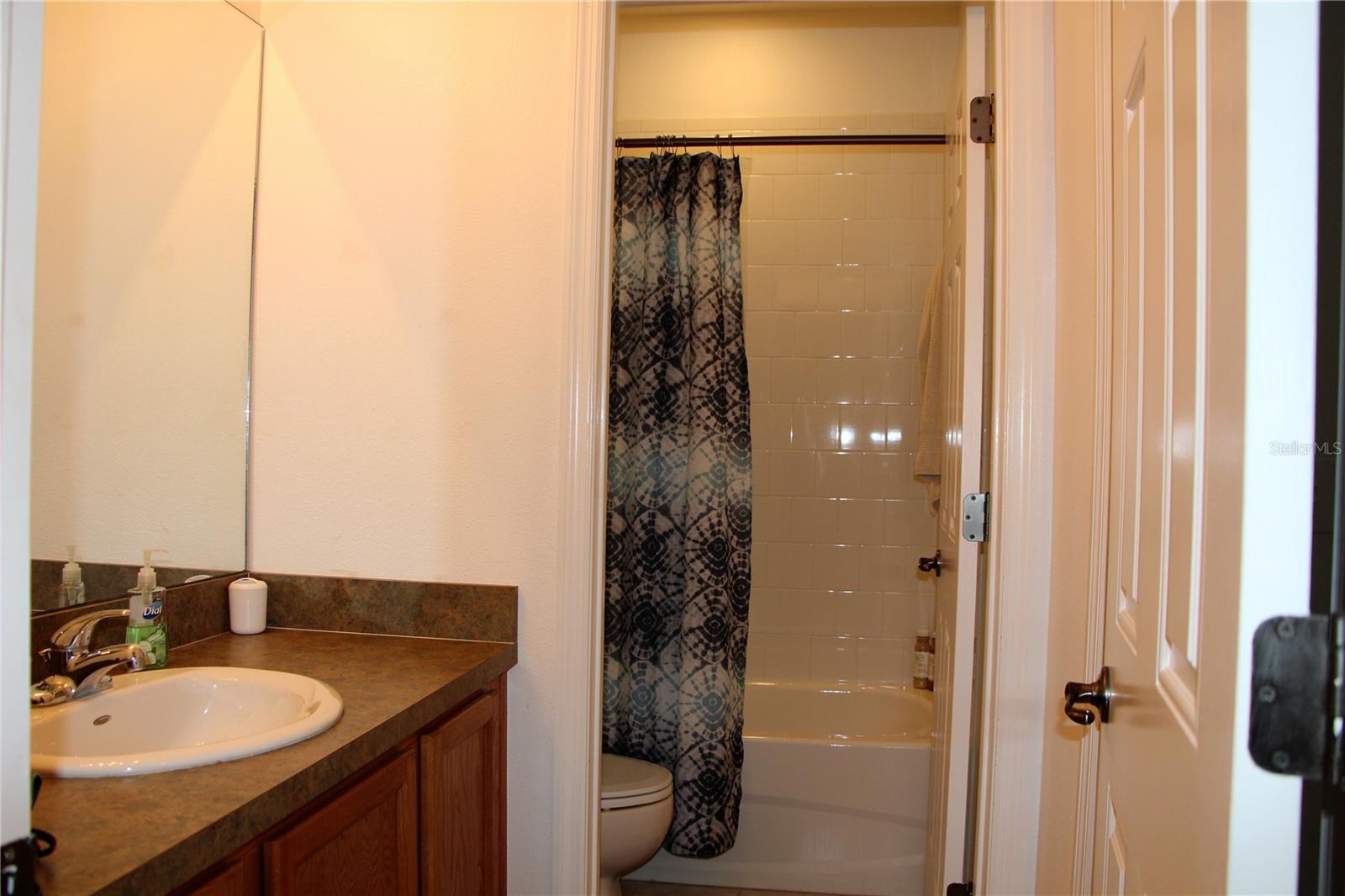 319 SUMMER CLOUDS PLACE, BRANDON, FL, 33511